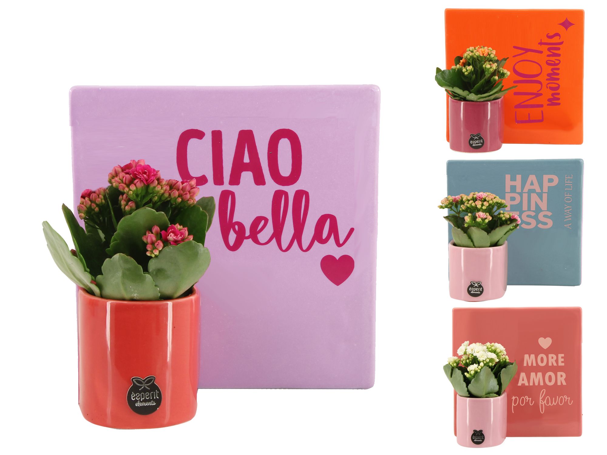 22011: Lovess arrangement, D 18