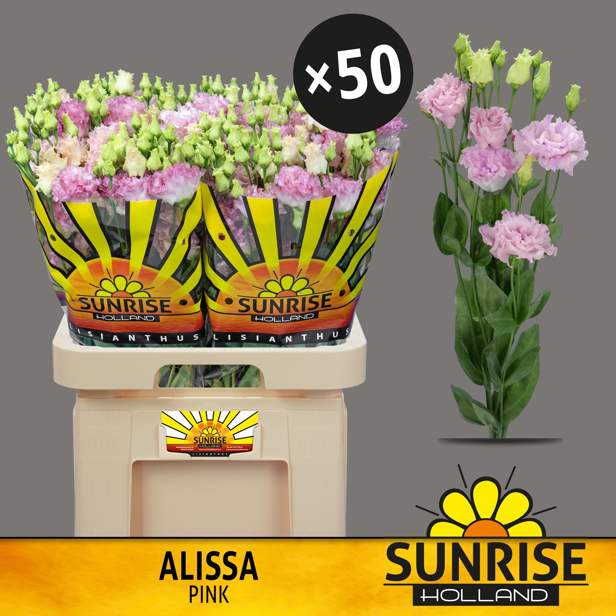 Эустома Алисса Пинк 70 (роз.), шт.