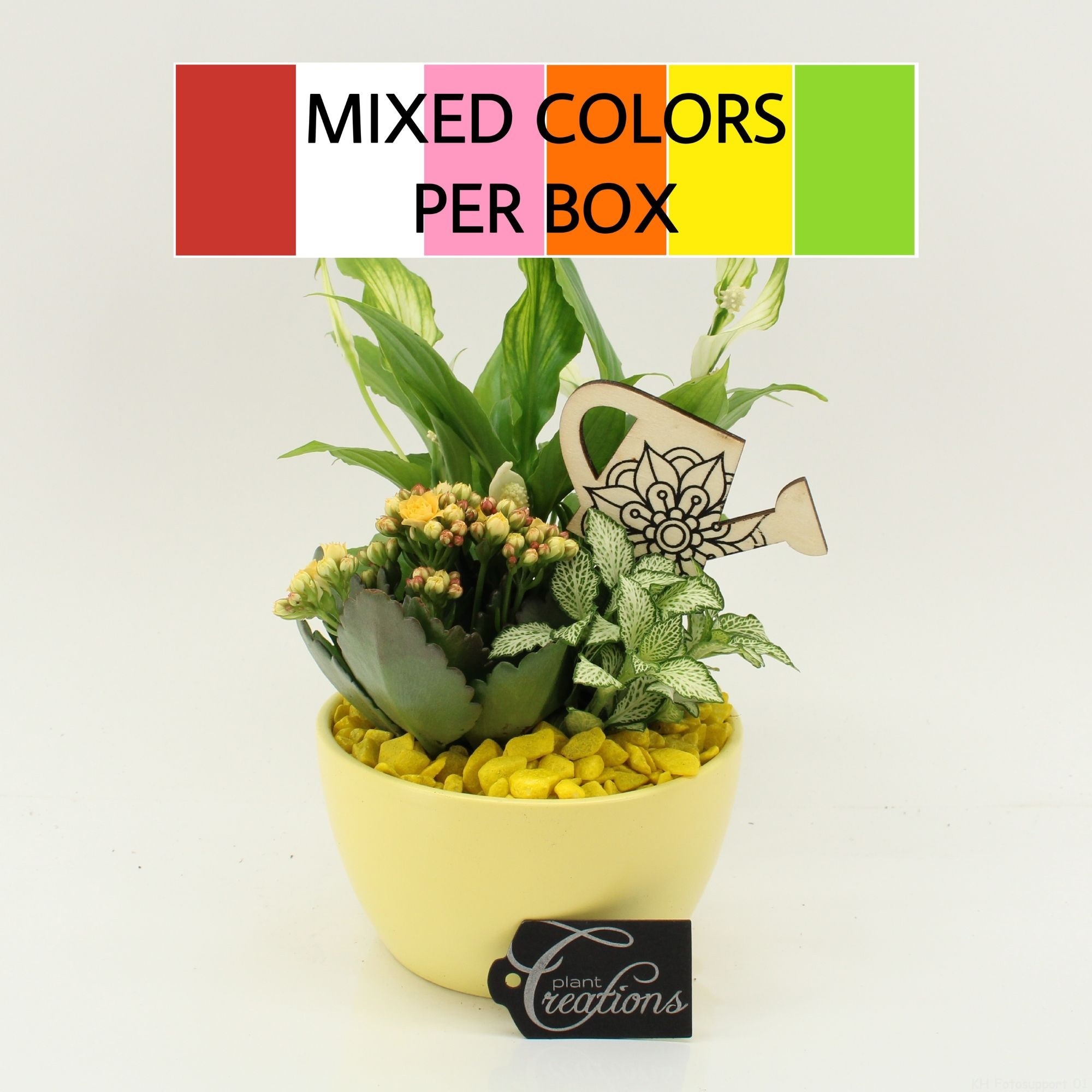 FDCR-2607M Basic Fundamentals, D 14