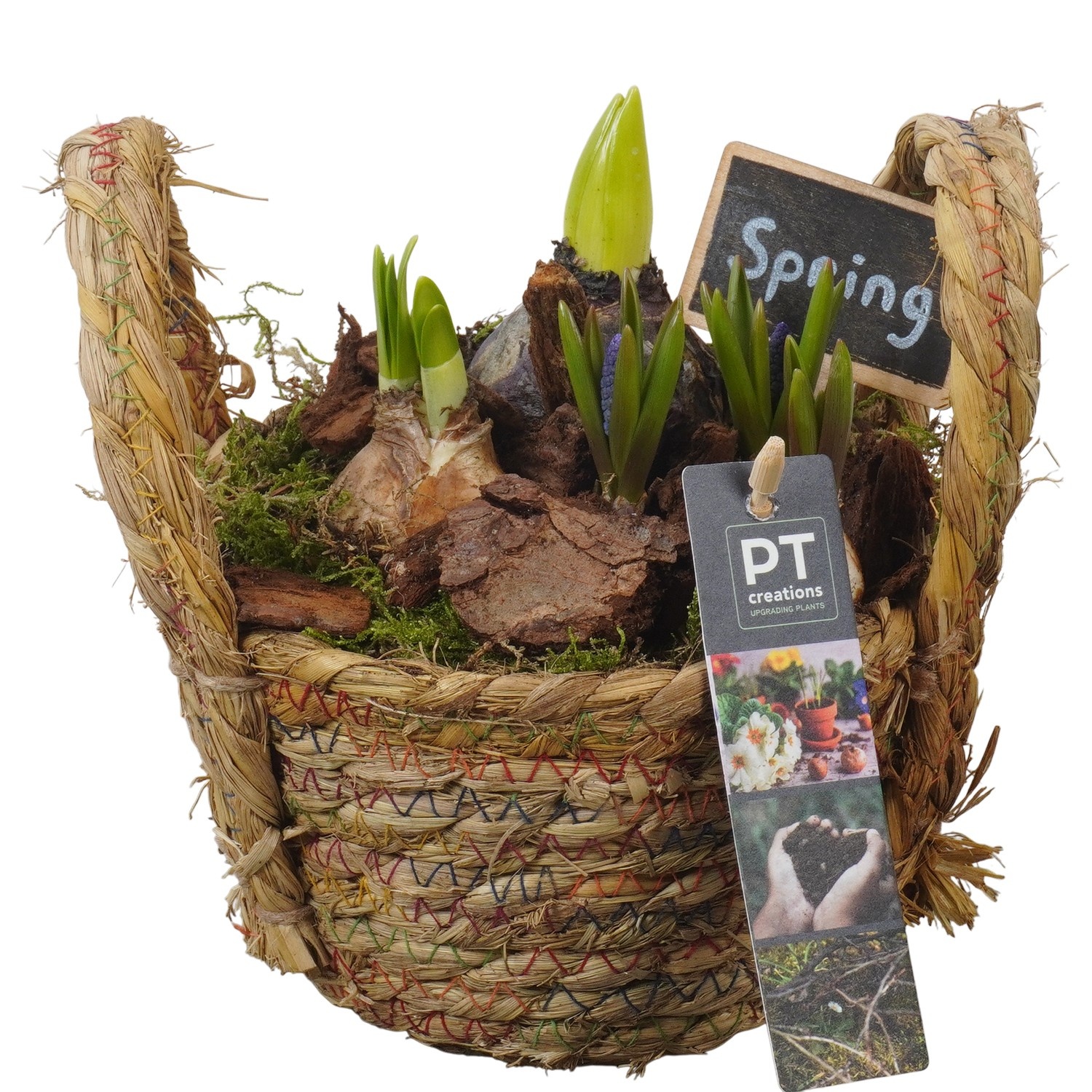 PTBM3808 Arrangement Flower Bulbs Mix in rieten mand, D 15
