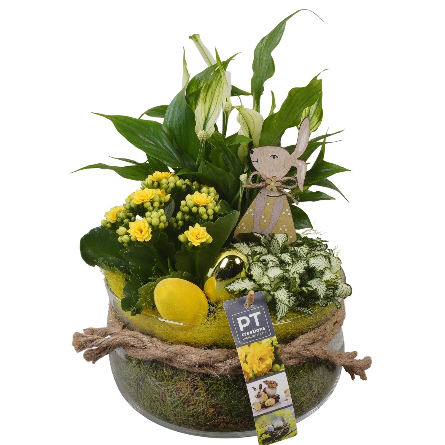 PTPG9304 Arrangement Easter in glasschaal, D 19