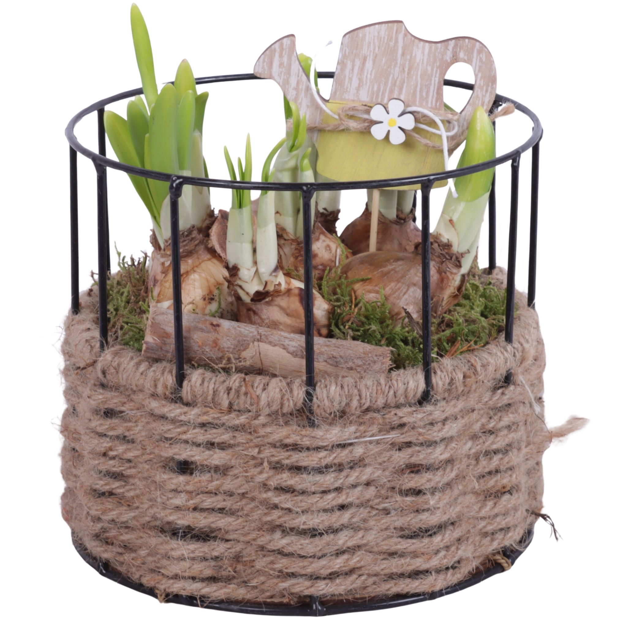 Bulbs Arr. Narcis Metal Frame Rope Pot Round Ø17cm, D 17