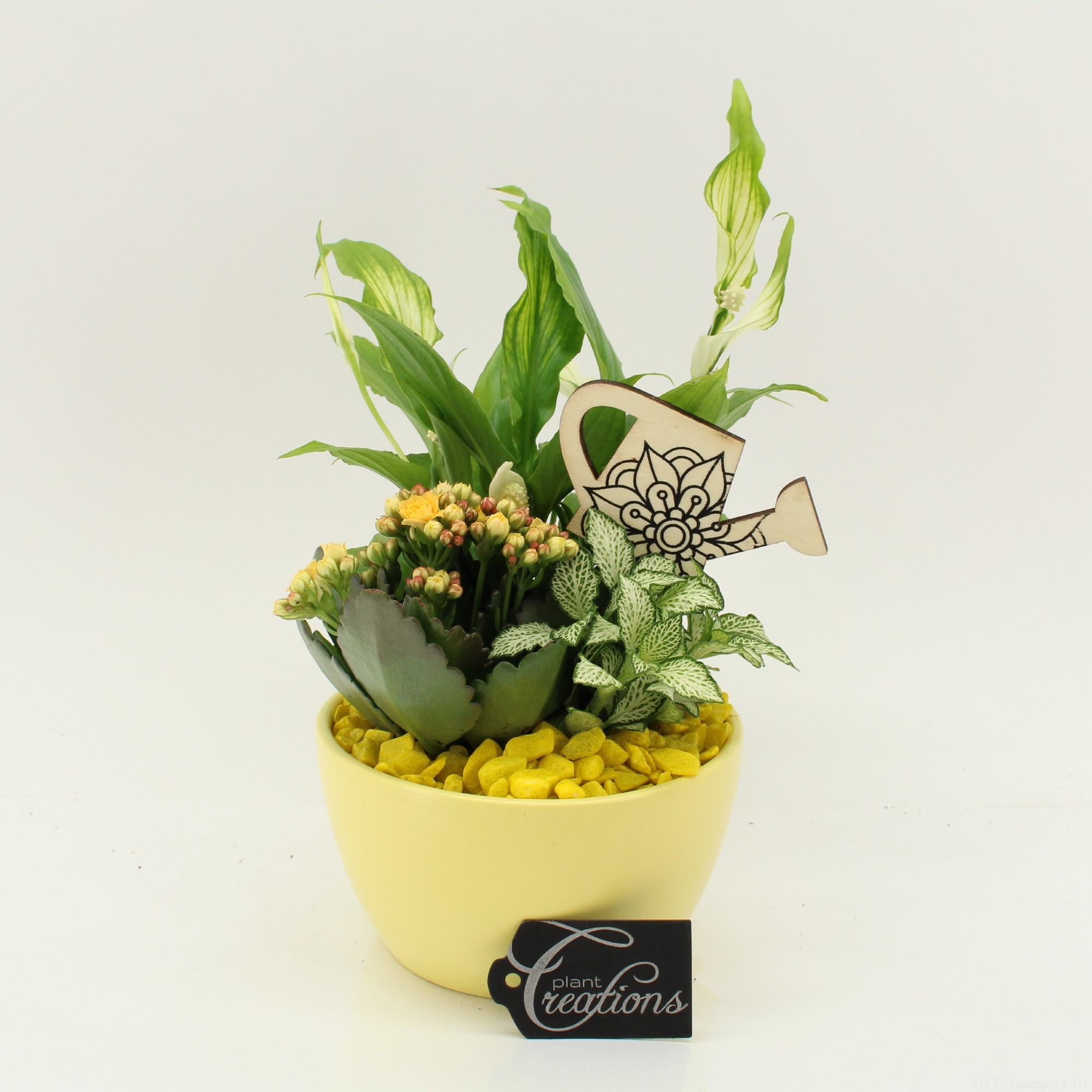 FDCR-2607G Basic Fundamentals, D 14