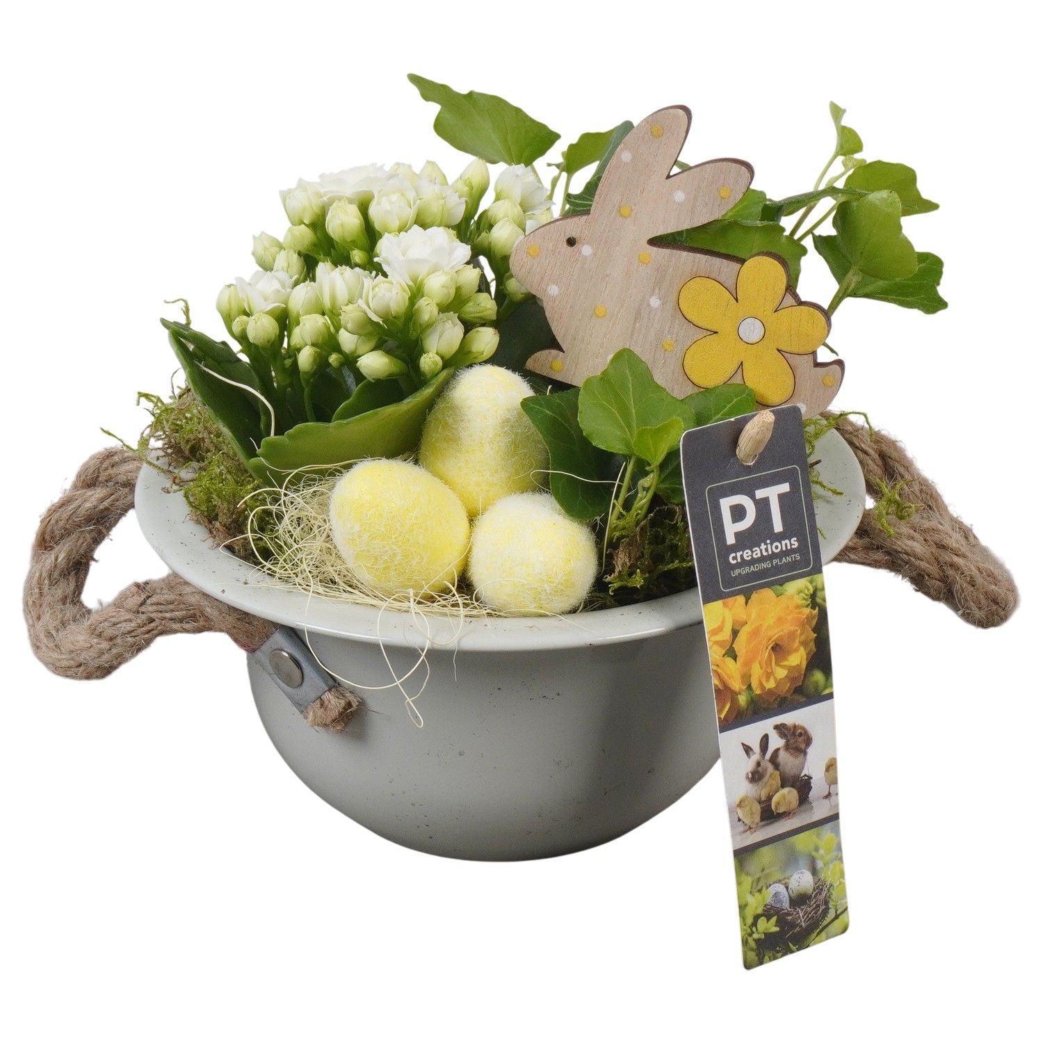 PTPB6407 Arrangement Easter in zink schaal, D 16