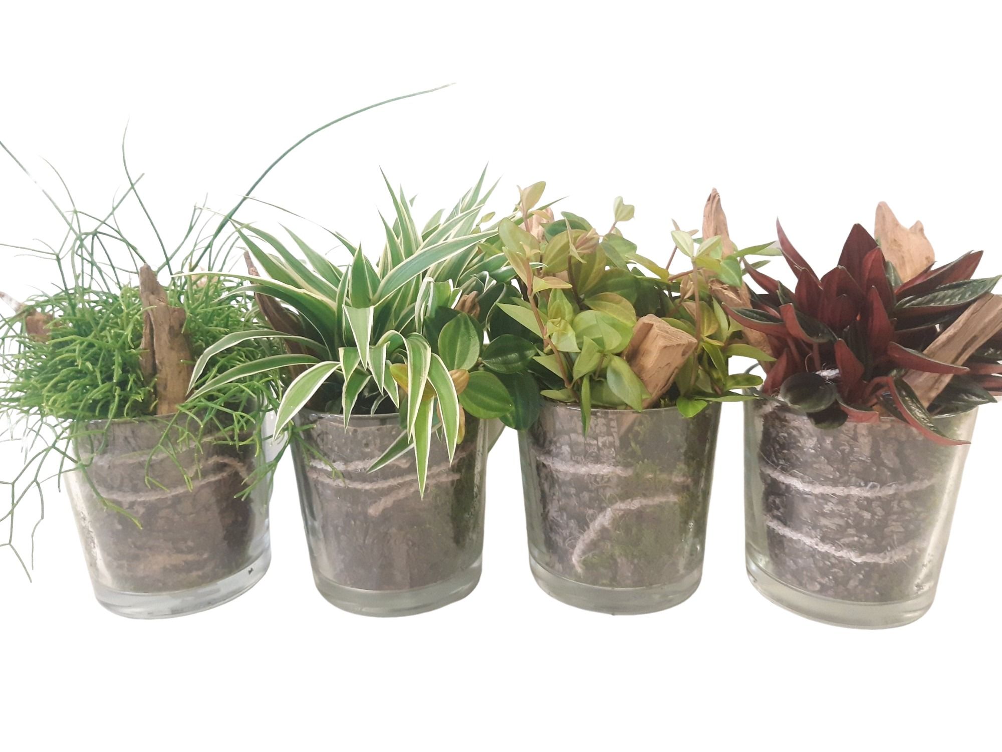 833GEM Cilinderglas 'Forrest Windows' groenmix, D 13