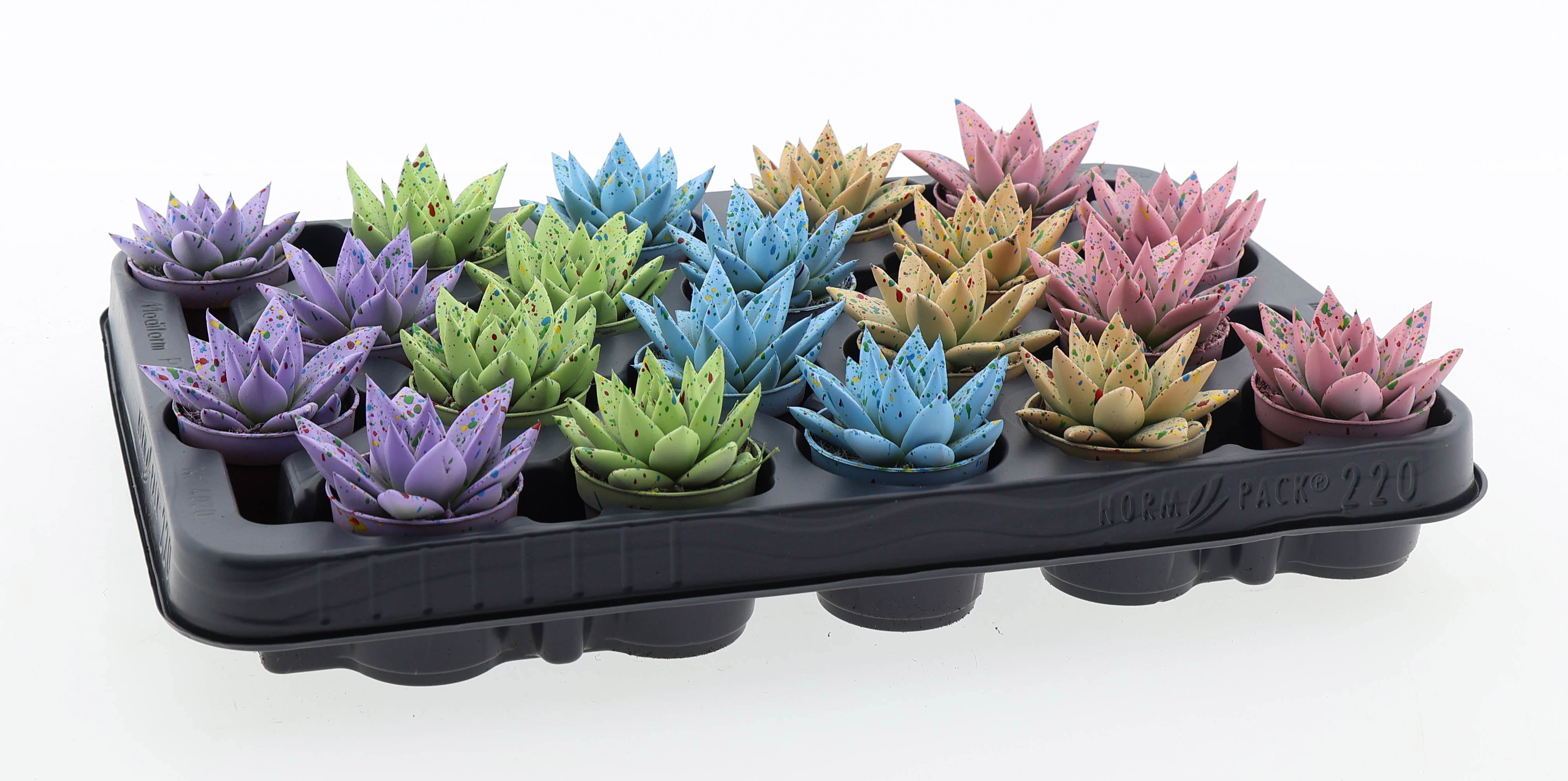 Easter sprinkle mix, D 5,5