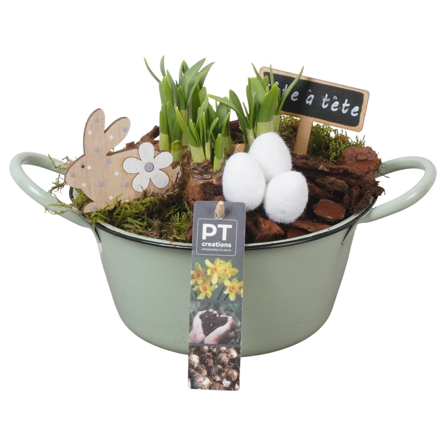 PTNP4431 Arrangement Narcissus Easter in zink schaal, D 19