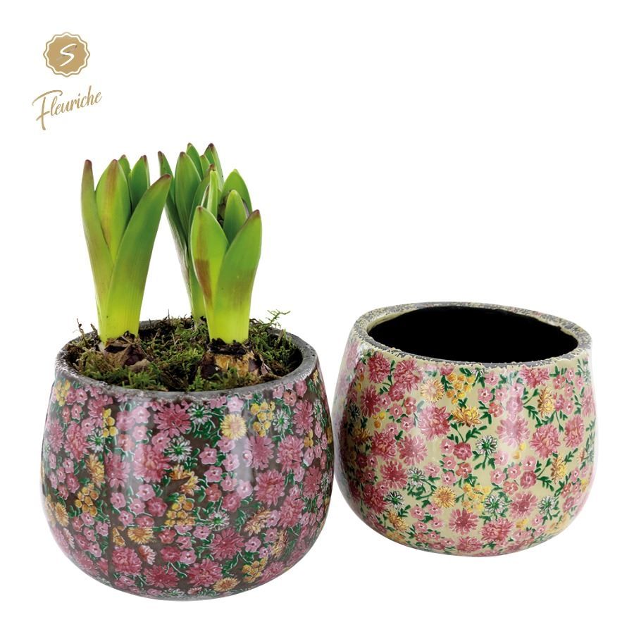 (3603) Hyacint Late Fashion [L] 3PP Mos, D 15