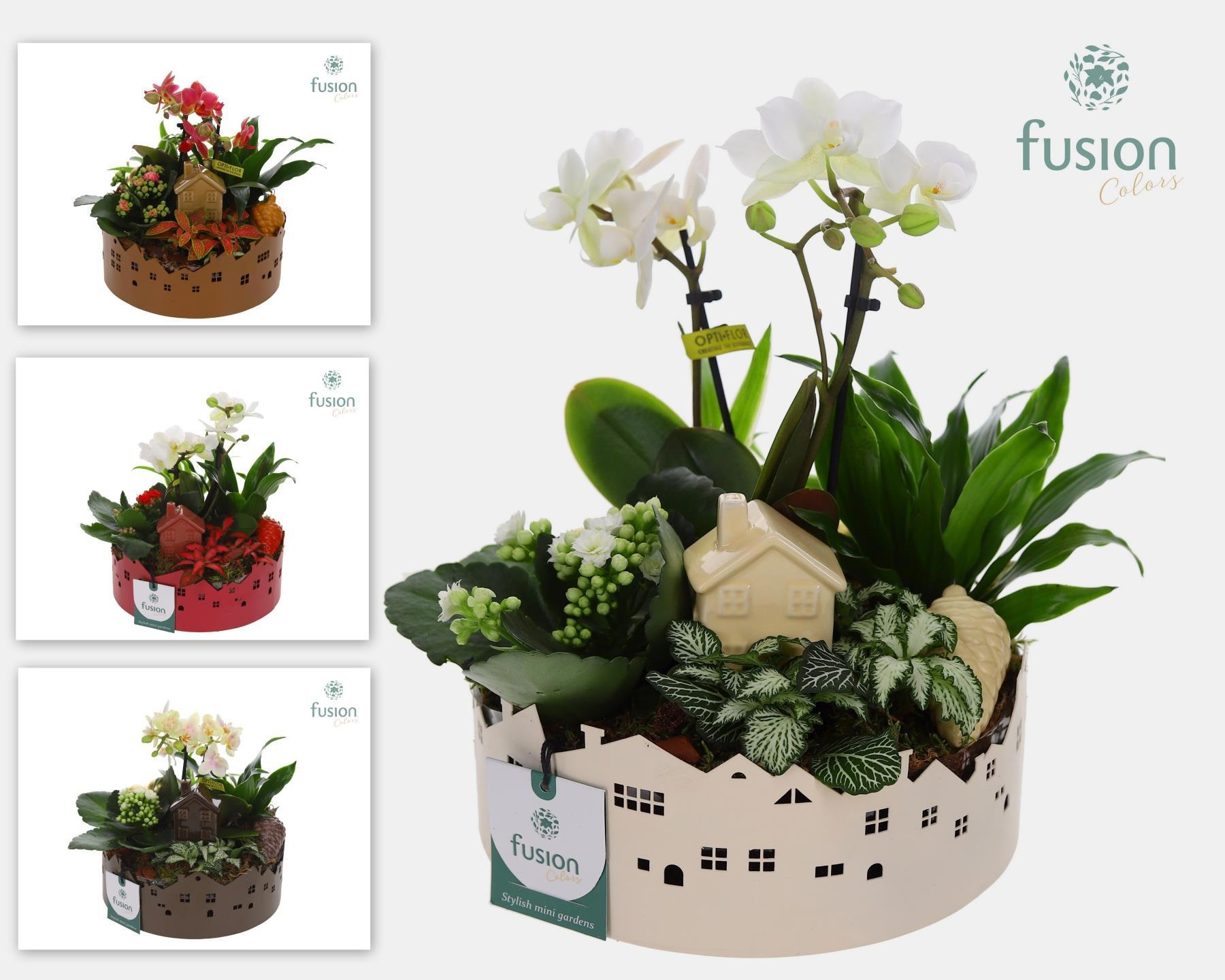 Zinken schaal Huisjes Medium met arrangement, D 19