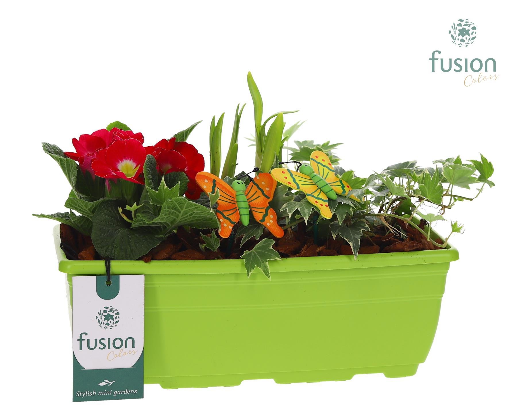 Plastic Balkonbak met arrangement, D 27