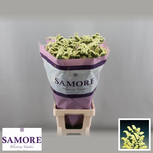 Статица Еллоу Сан Бердс 80, шт.