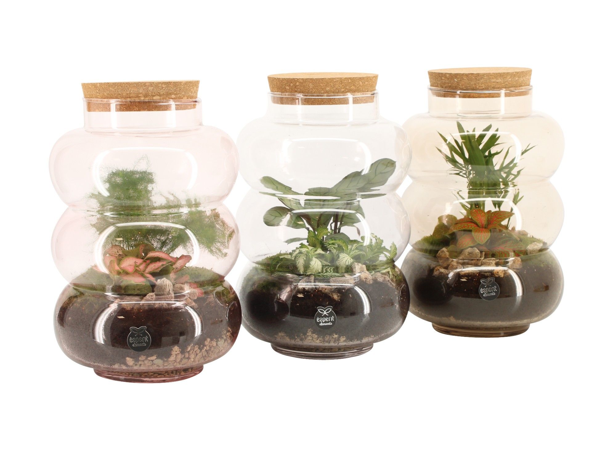 90692: Terrarium arrangement, D 17