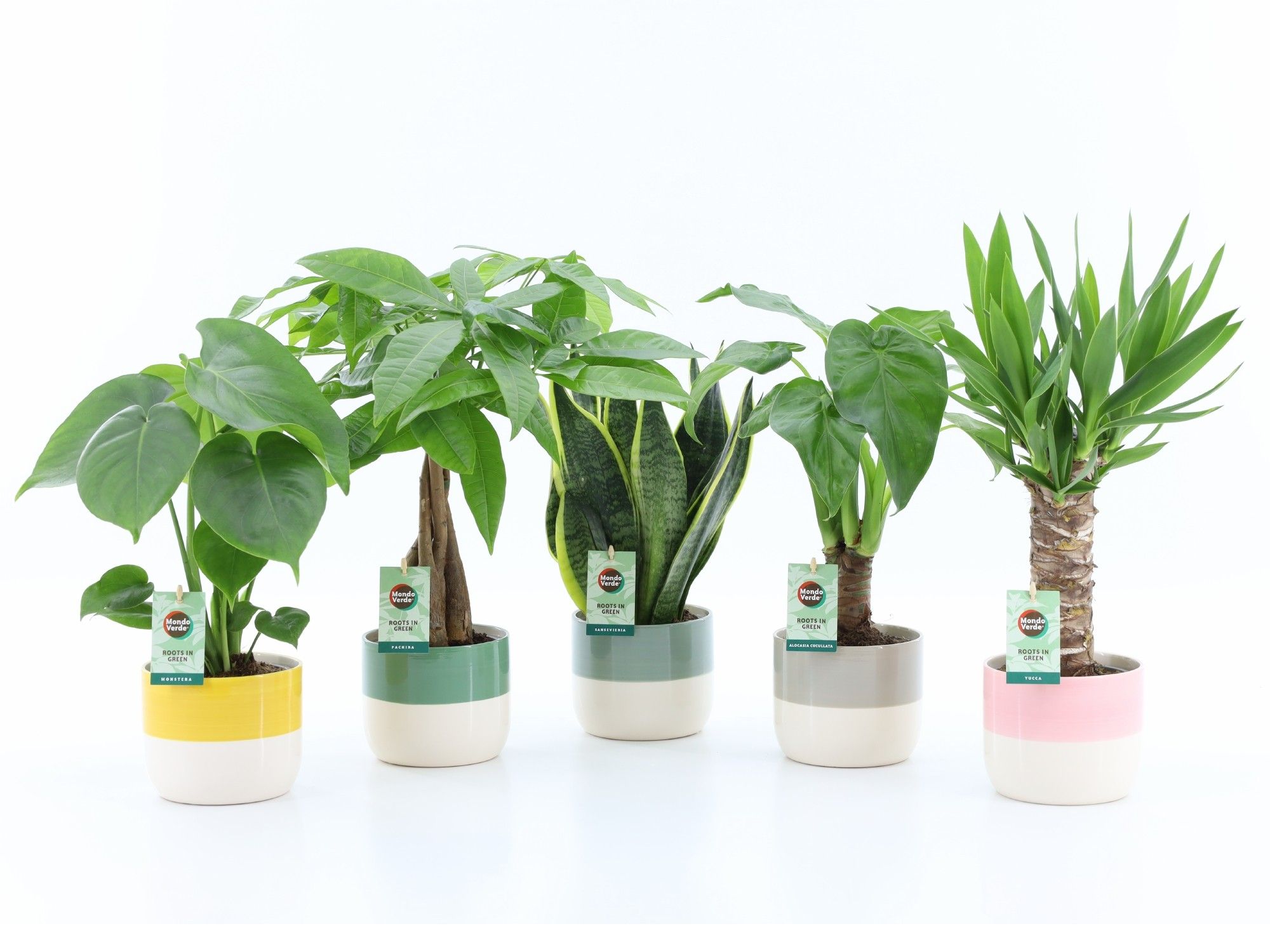 Tropic Mix in Two Tone keramiek, D 13