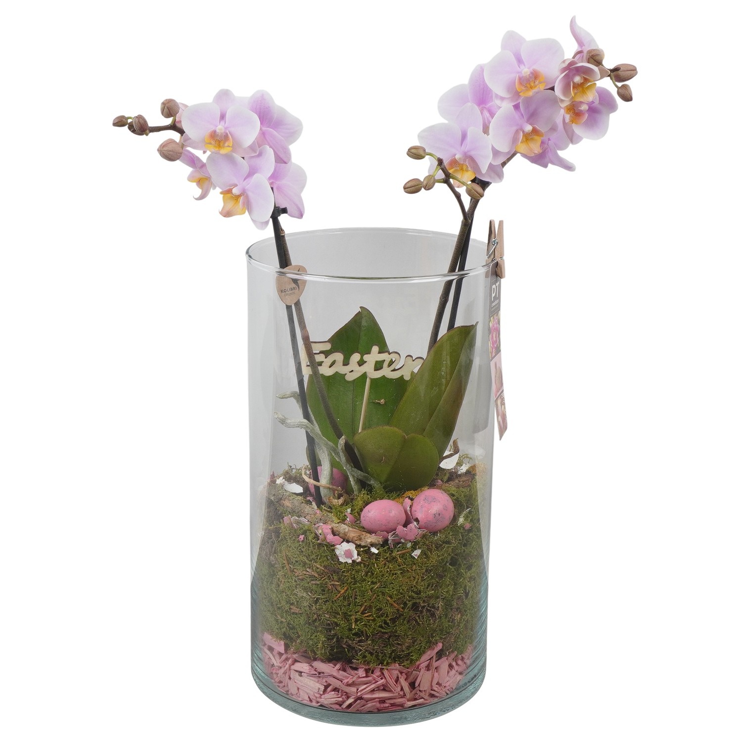 PTPG9337 Arrangement Easter in glas vaas, D 16