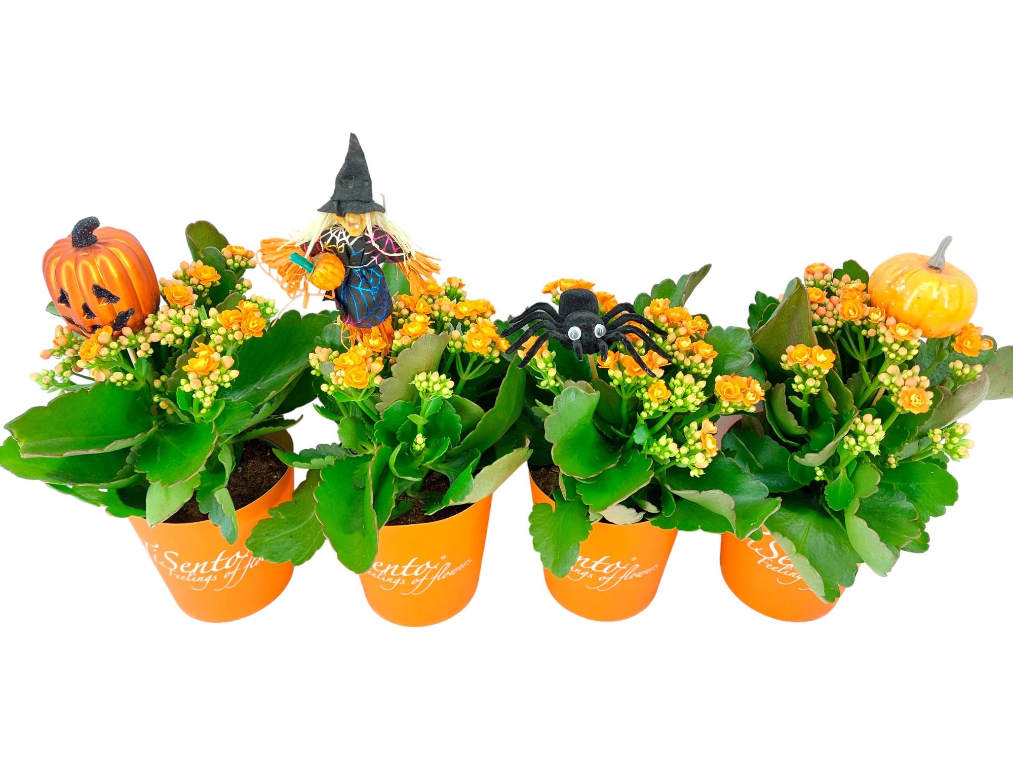 Calandiva 12 cm Oranje - Oranje Smartcup met Halloween Bijsteker, D 12