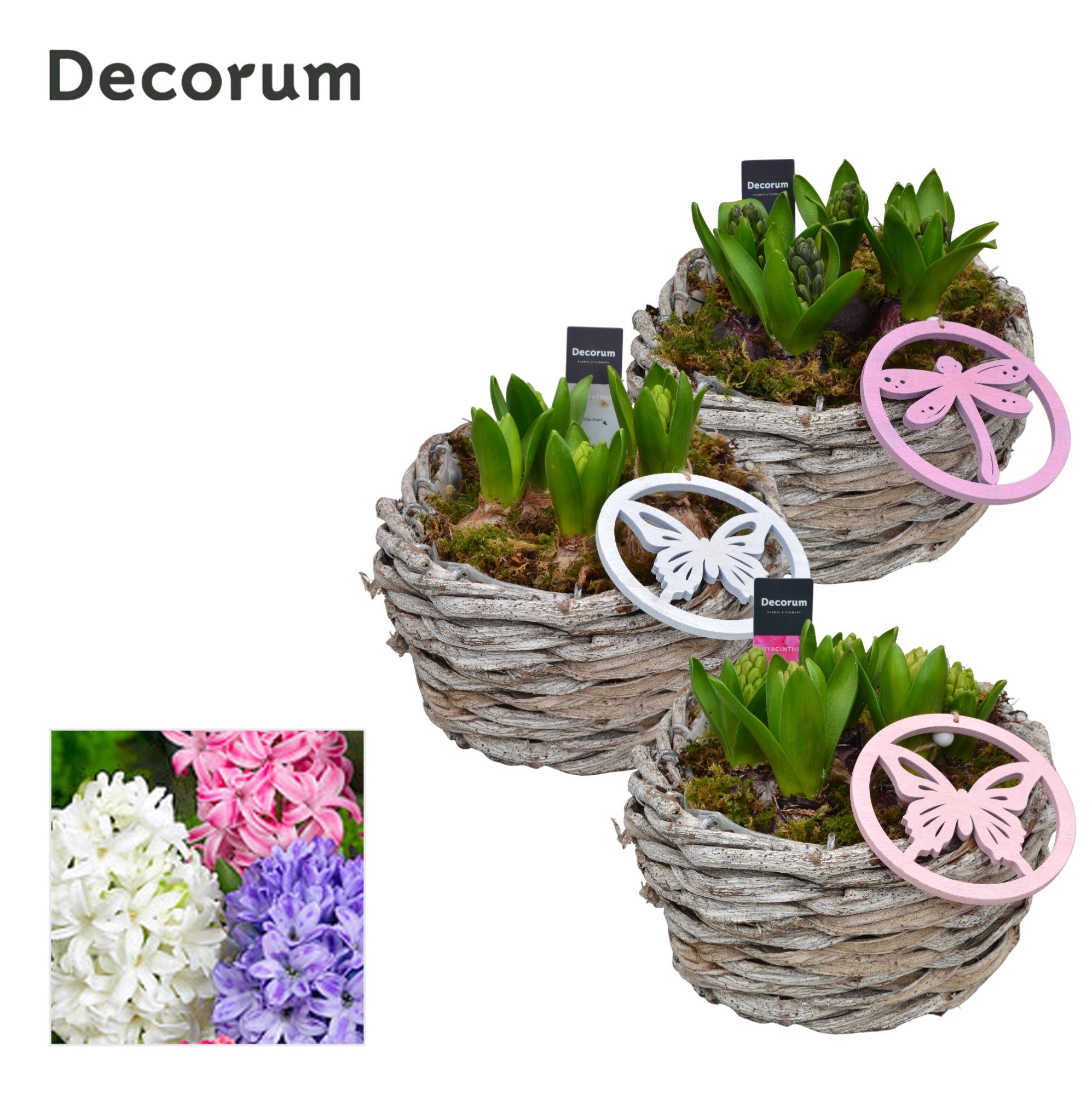 Hyacint Gevlochten Schaal HL12783 [PURE], D 19