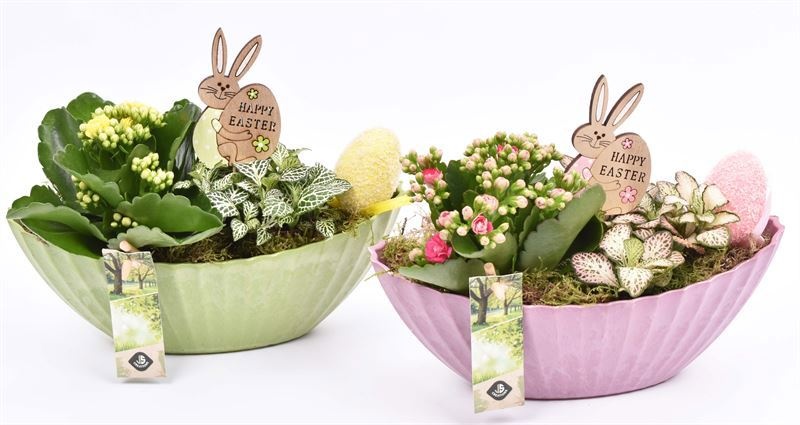 Kunstof kano groen/roze 24x10cm, D 24