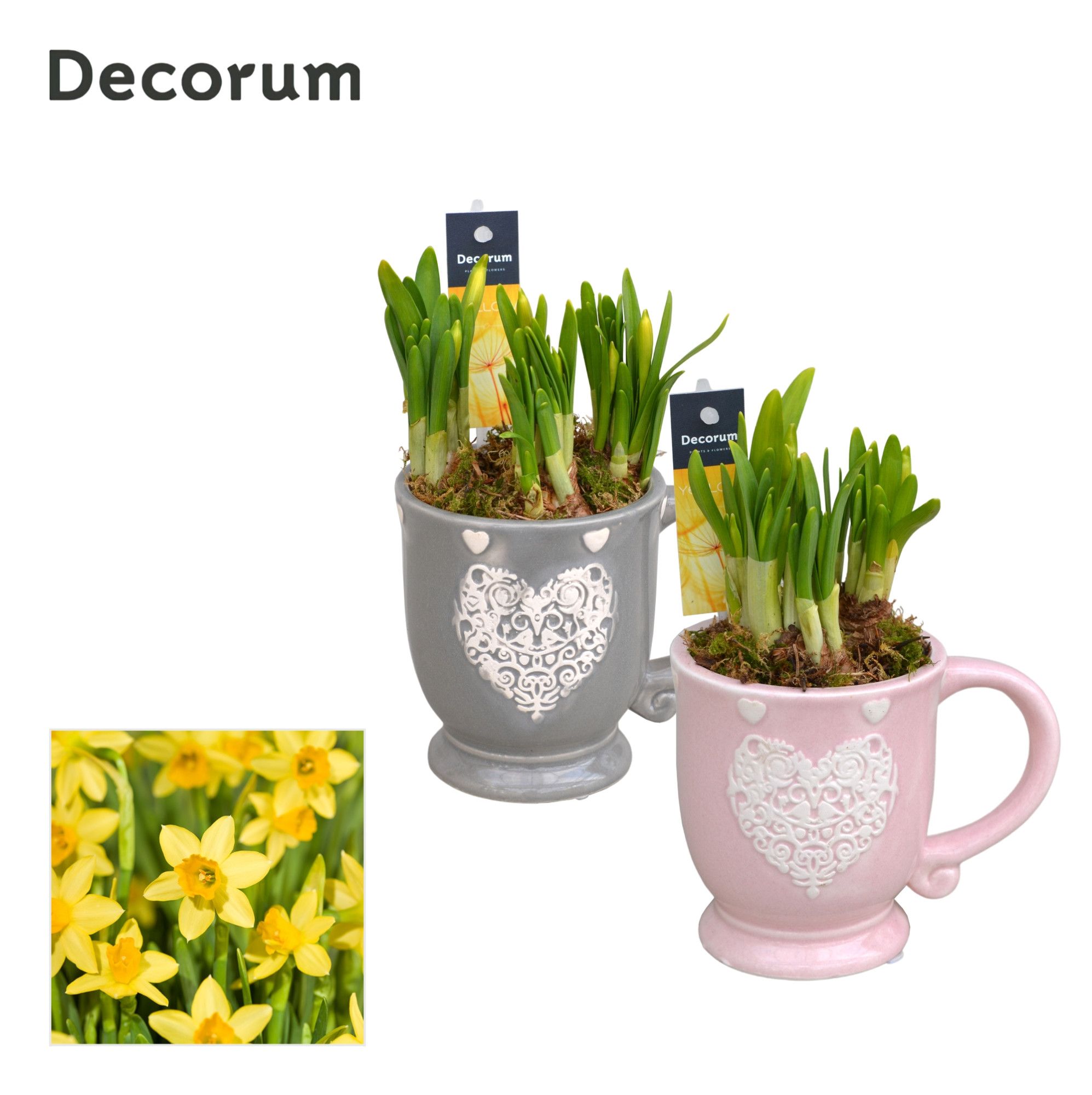 Narcis Loving Mug GM HL10937, D 9