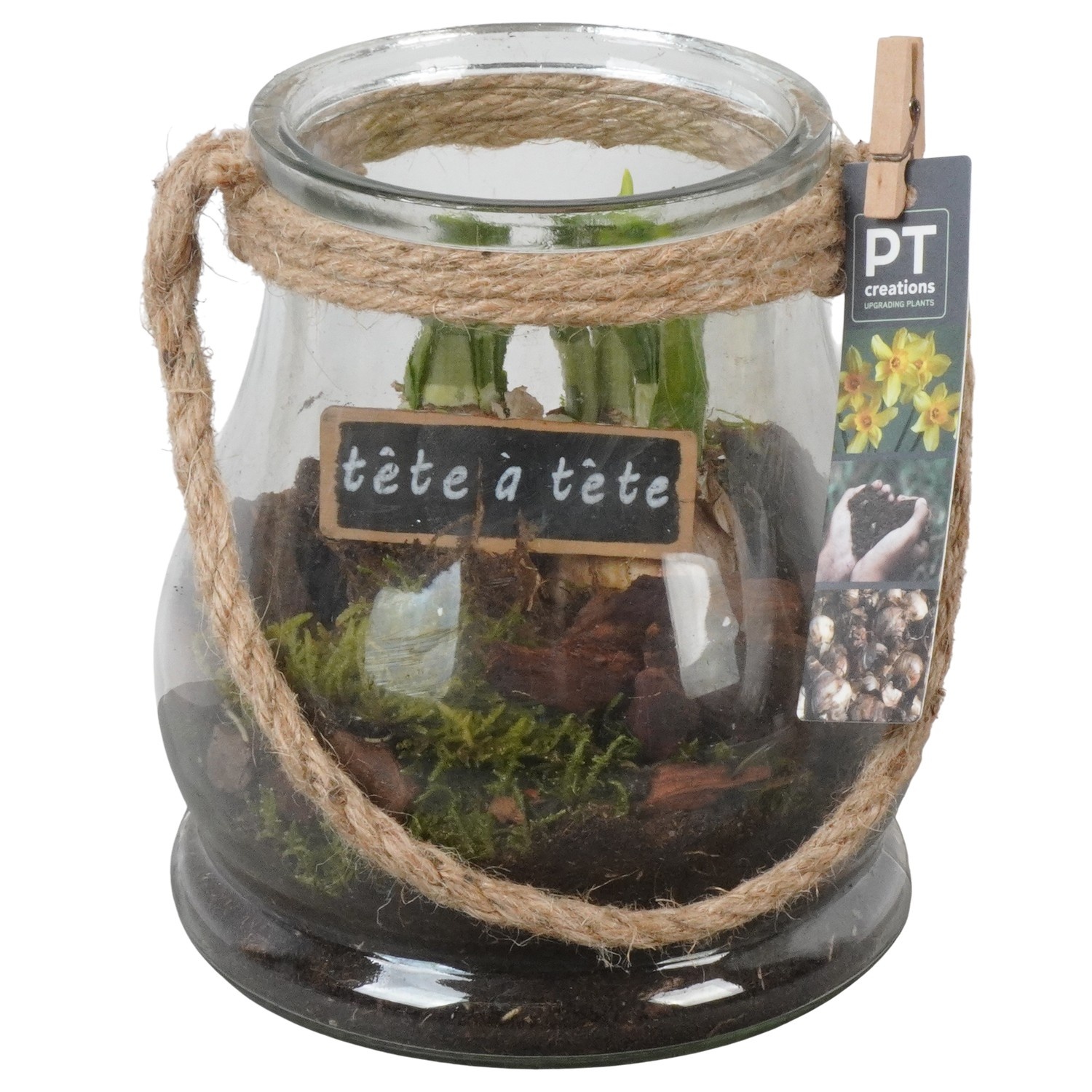 PTN8742 Arrangement Narcissus in glazen vaas, D 16