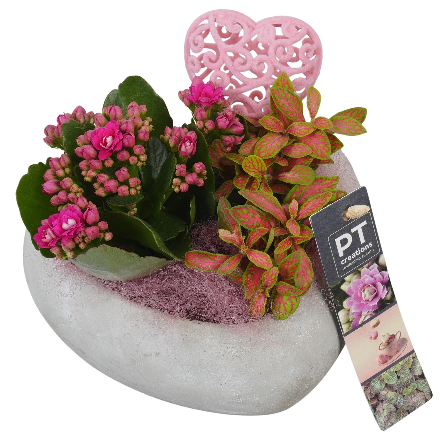 PTVMB2280 Arrangement Valentines-Mothersday in beton hart, D 16