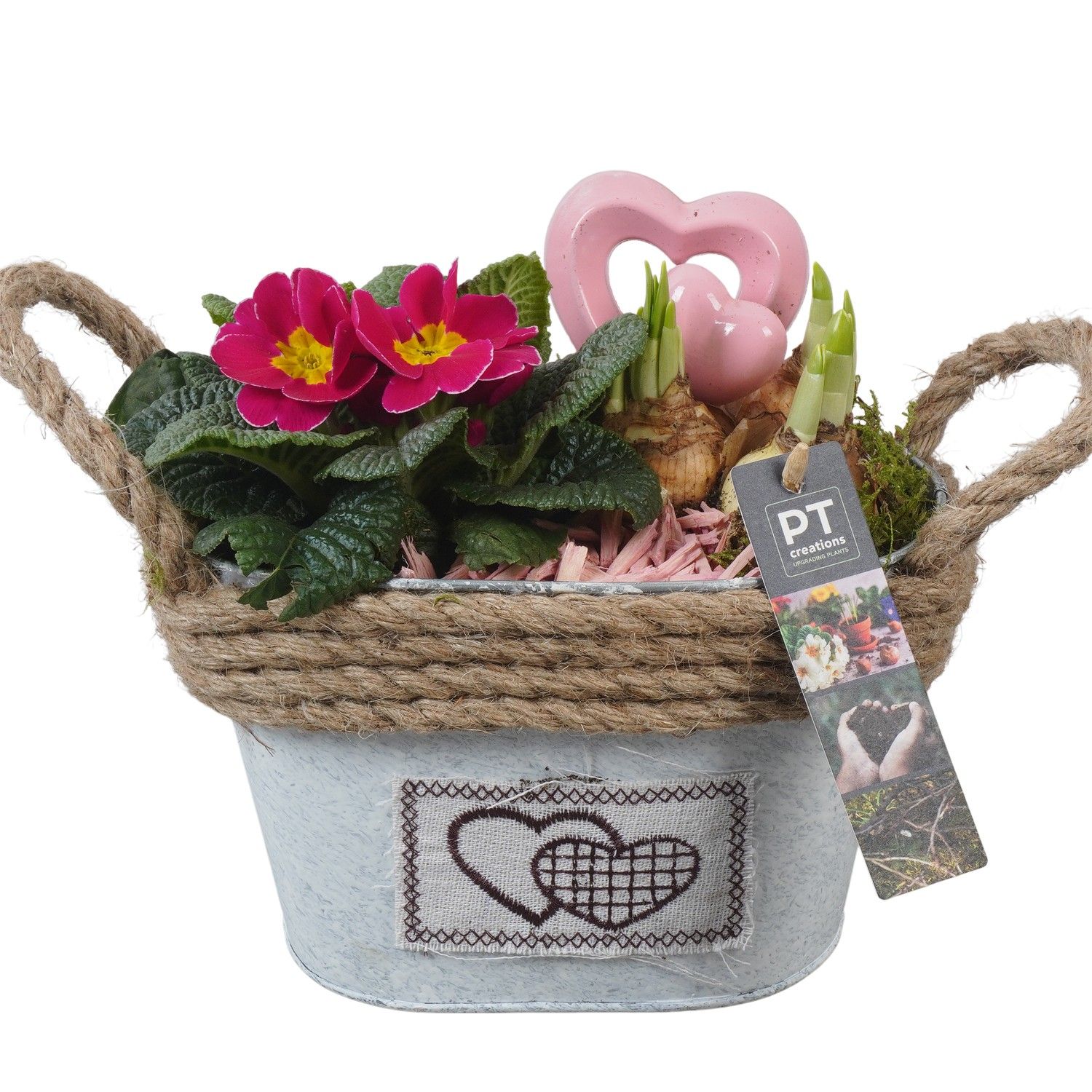 PTVO3602 Arrangement Valentine Outdoor in metalen pot, D 20