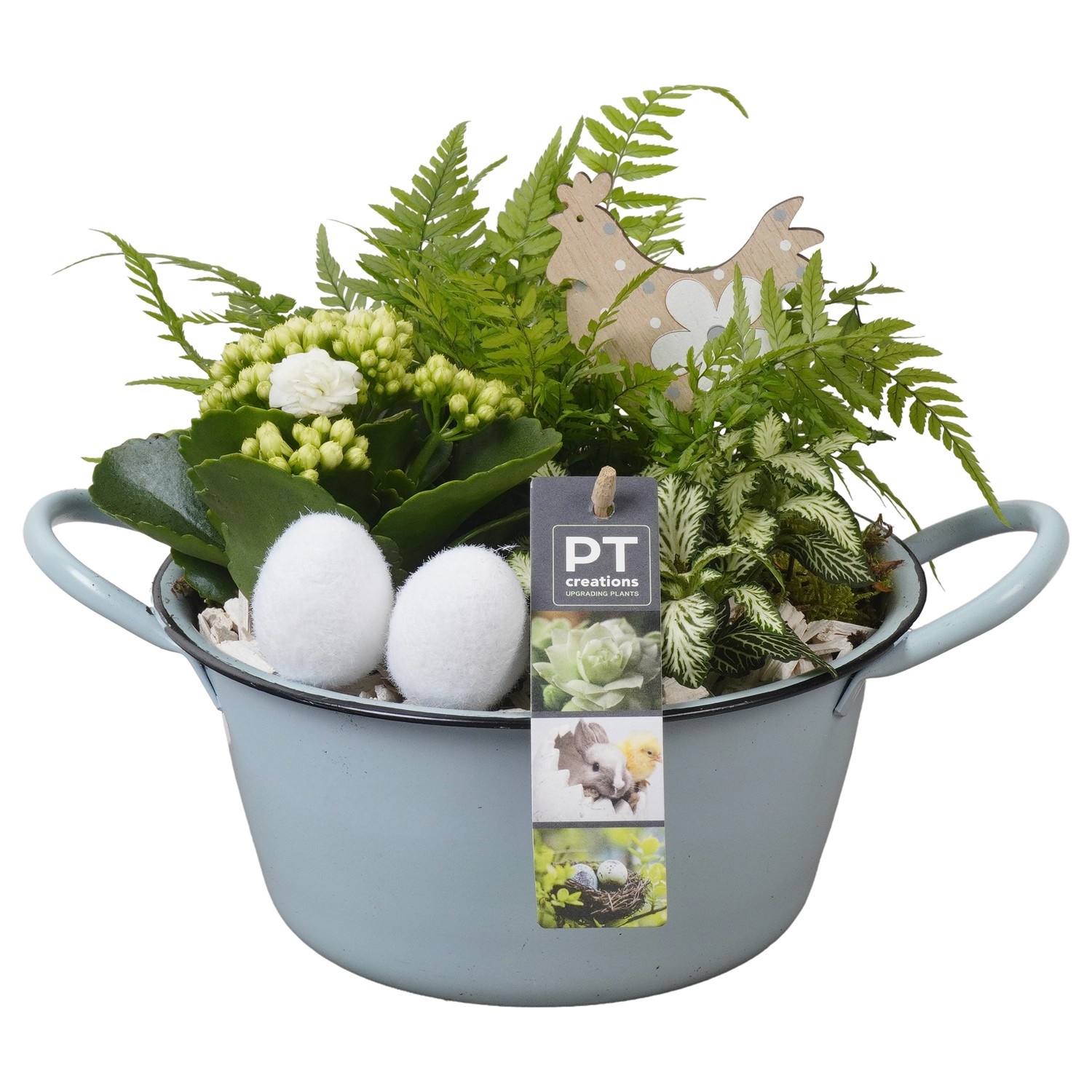 PTPB6424 Arrangement Easter in zink schaal, D 19