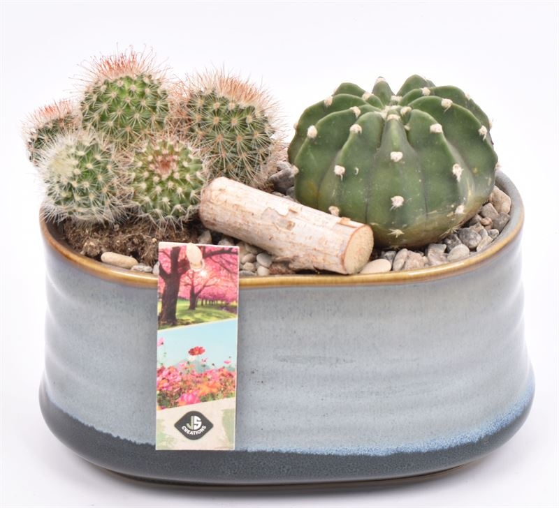 Keramiek ovaal blauw/grijs 19x12cm, D 19