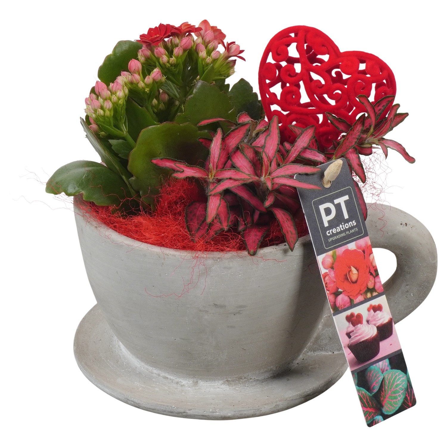 PTVMB2284 Arrangement Valentines-Mothersday in beton sierpot, D 14