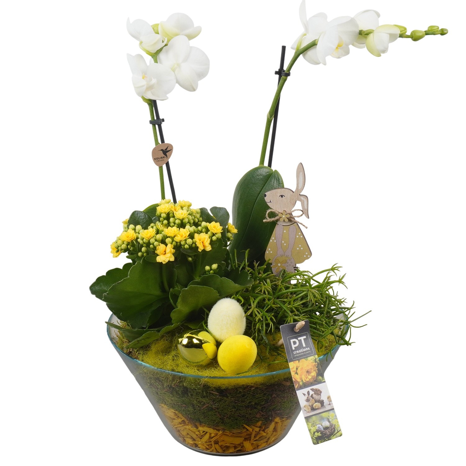 PTPG9364 Arrangement Easter in glasschaal, D 26