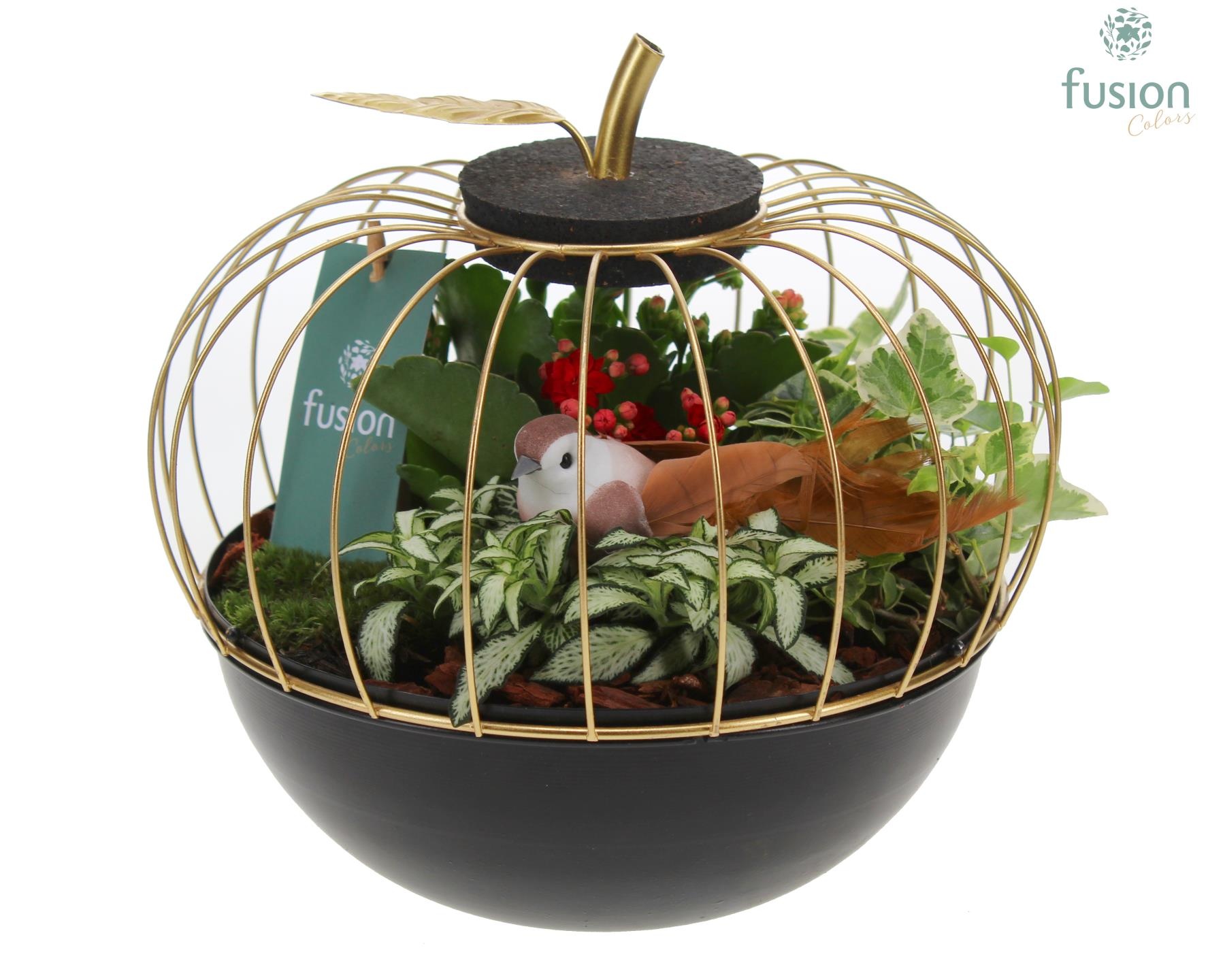 Metaal appel goudzwart Large met Arrangement, D 23