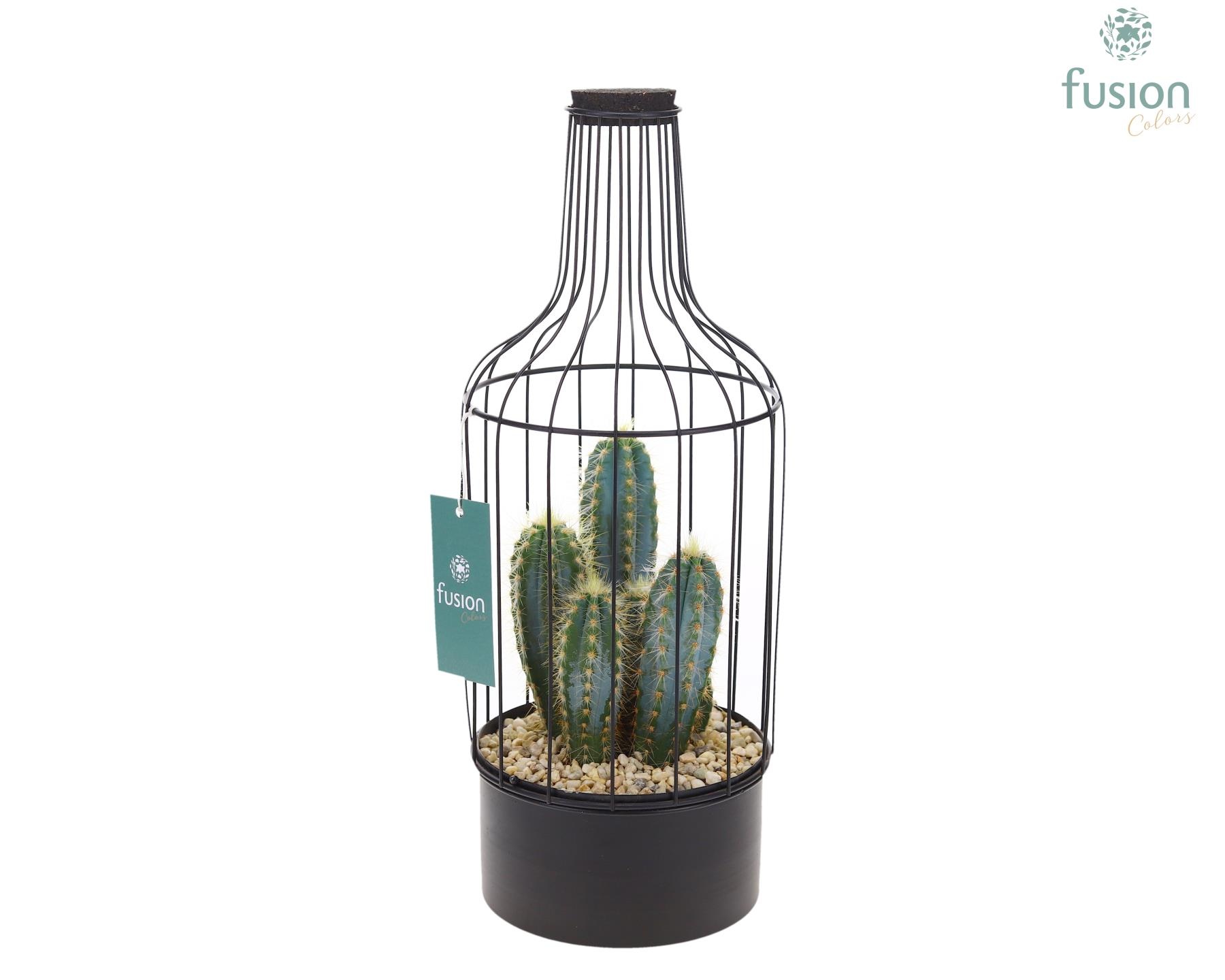 Metaal fles zwart Medium met Cactussen, D 15