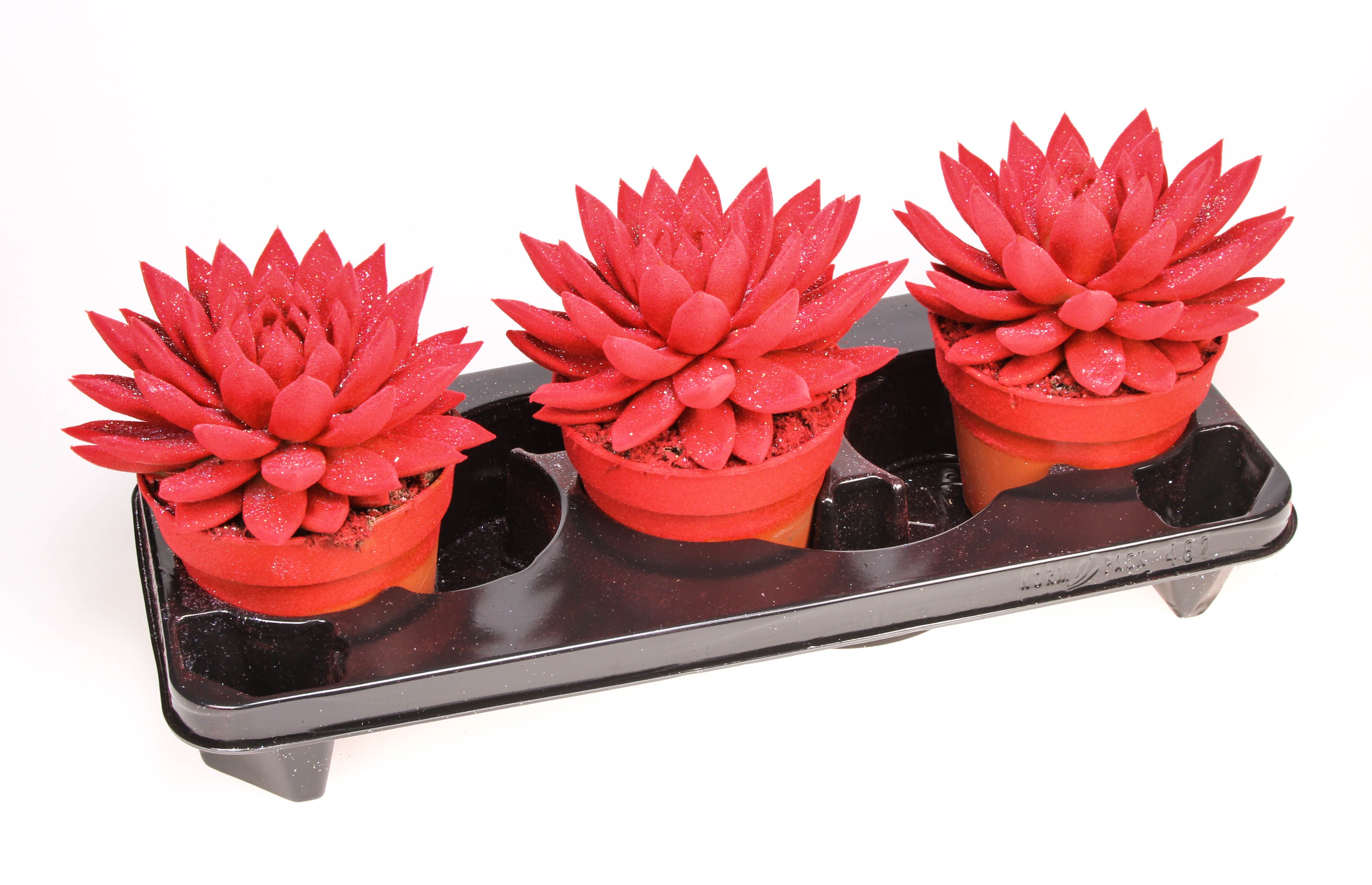 Velvet rood + glitter, D 15