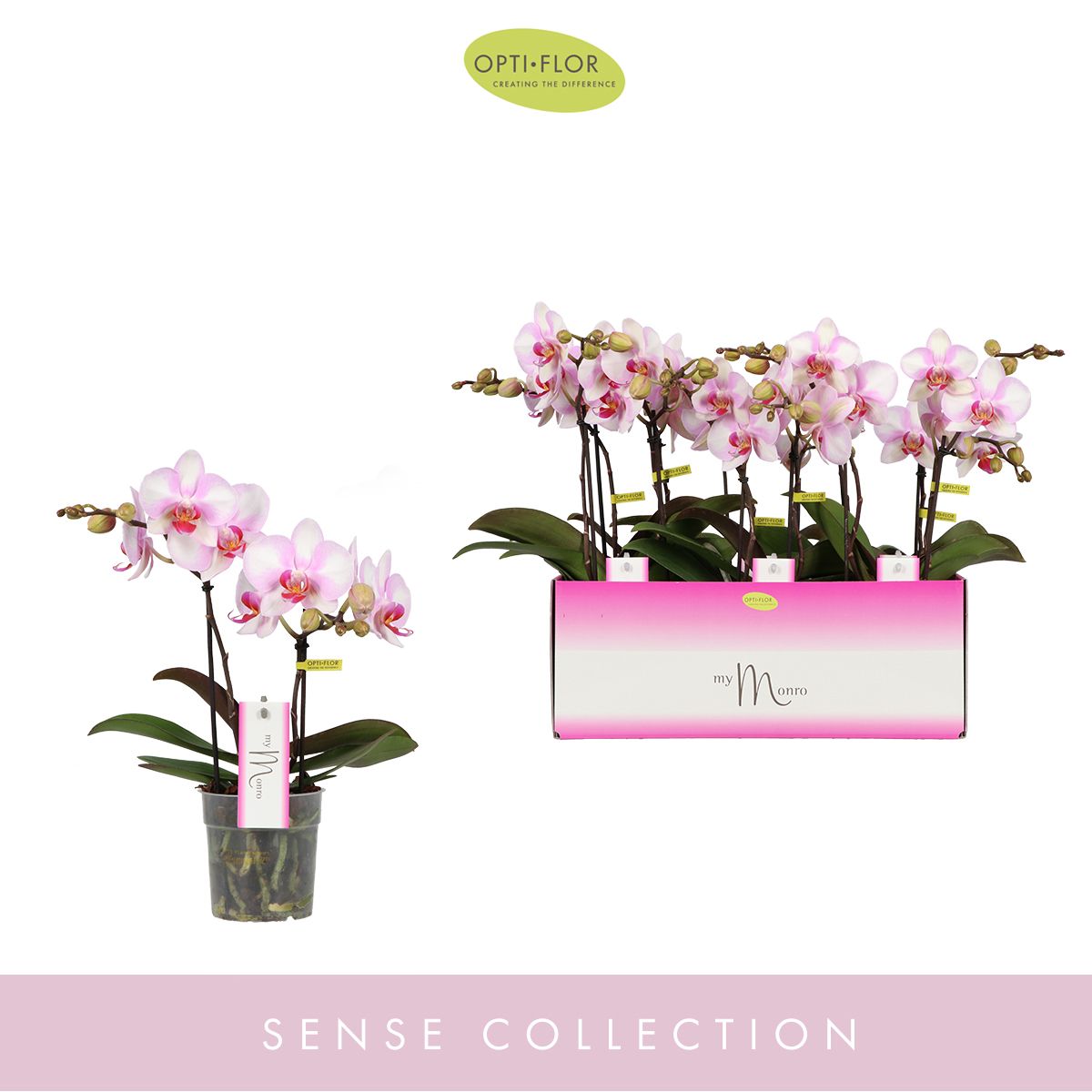 MyMonro Make-up 2 spike, D 12 cm