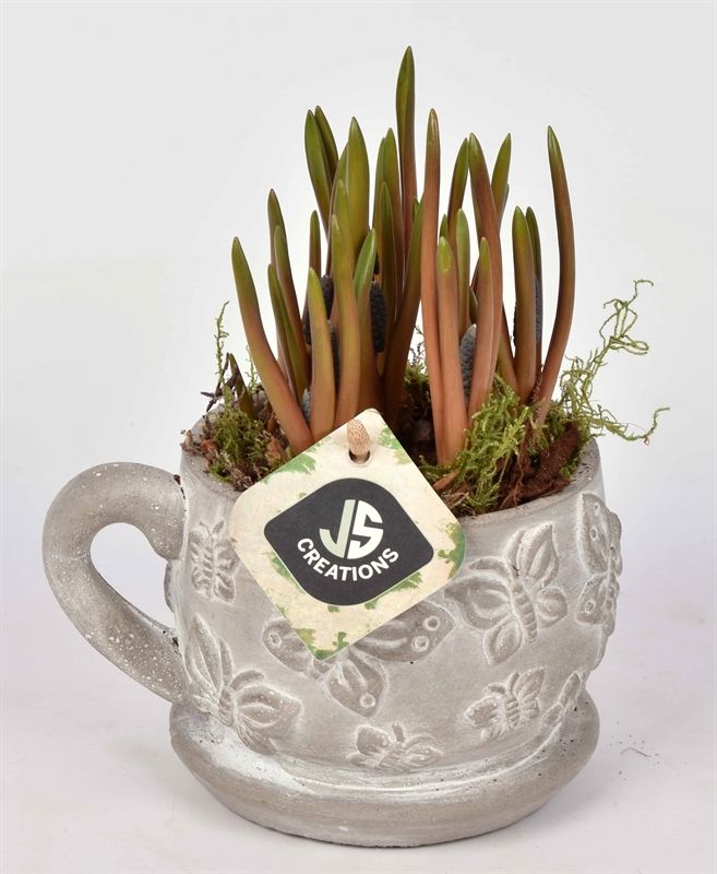 Cement vlinder kop en schotel 11cm, D 16