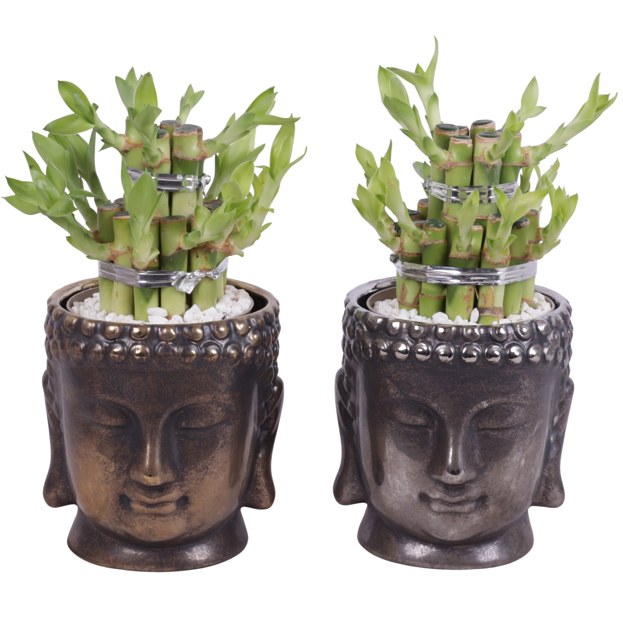 Lucky Bamboo Shape Round 2B in Ceramic Buddha Gold/Silver Ø12cm, D 12