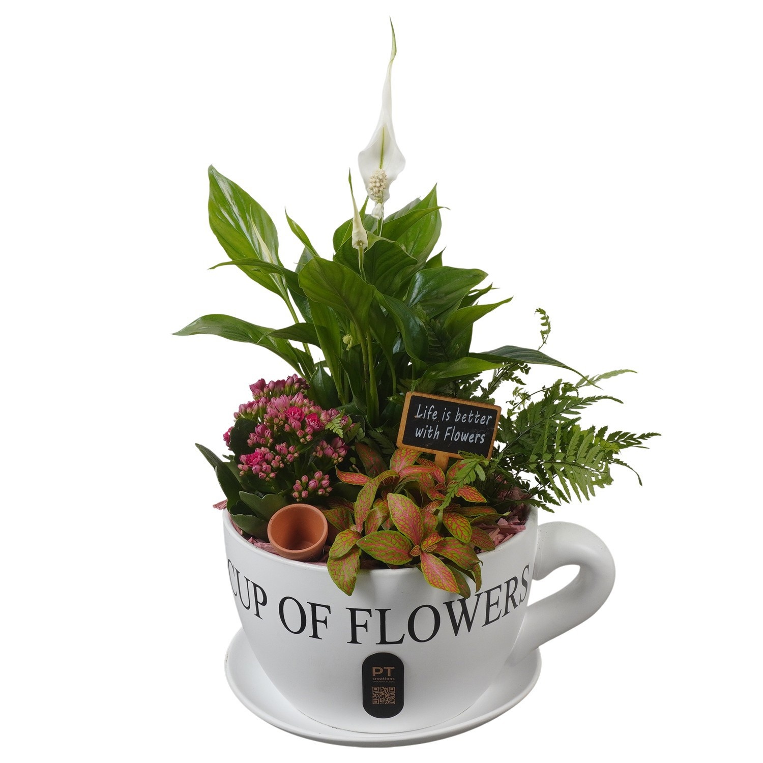 PTIB5195 Arrangement Indoor in keramiek kop en schotel, D 24