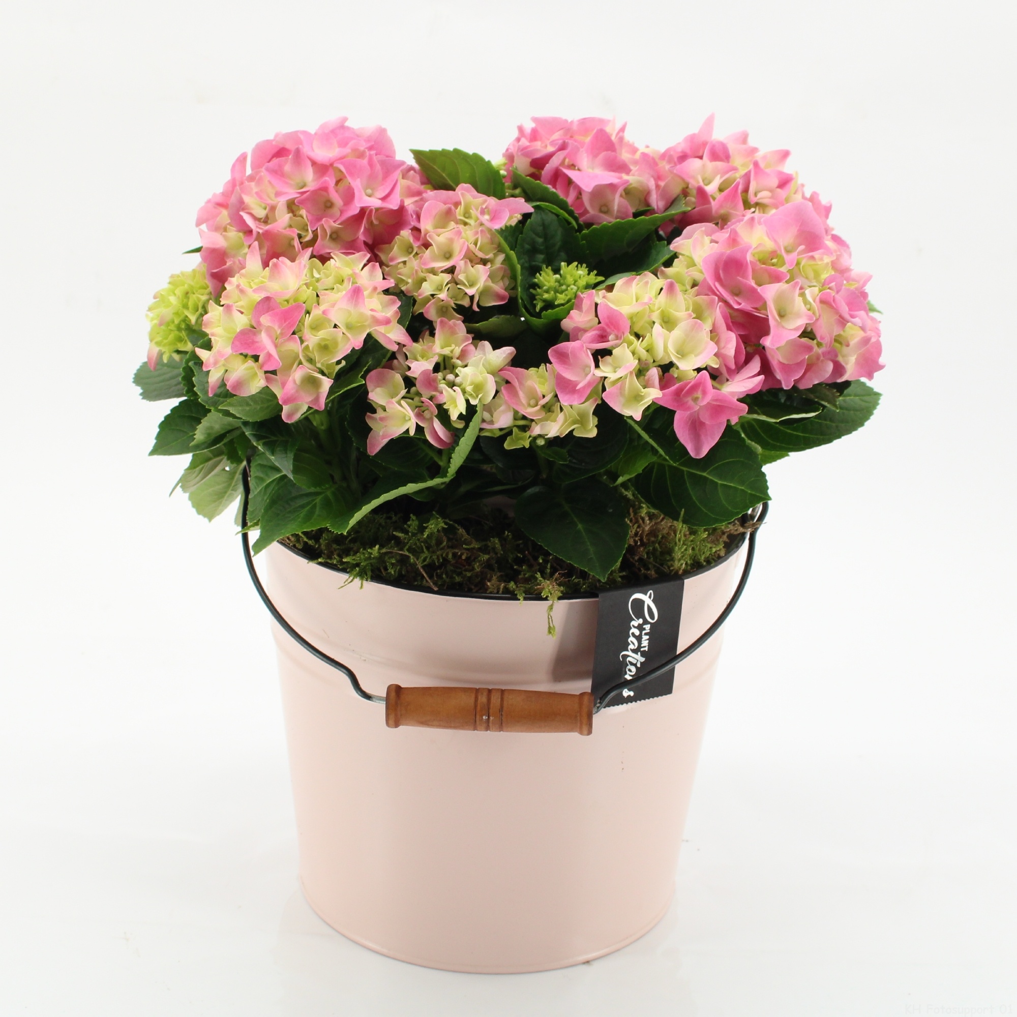 KHCR-2615RZ Hydrangea creations, D 21