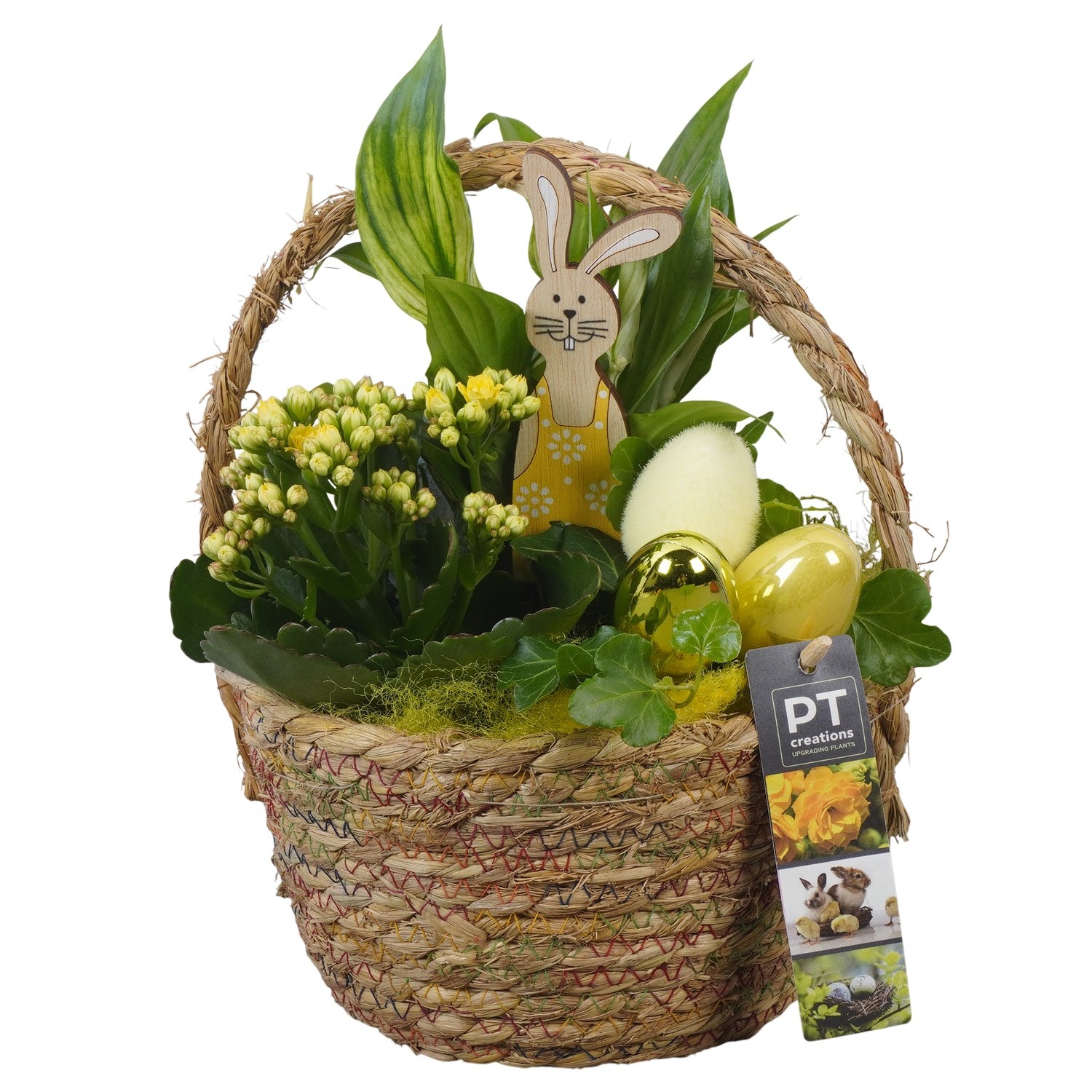 PTPB6542 Arrangement Easter in rieten mand, D 18