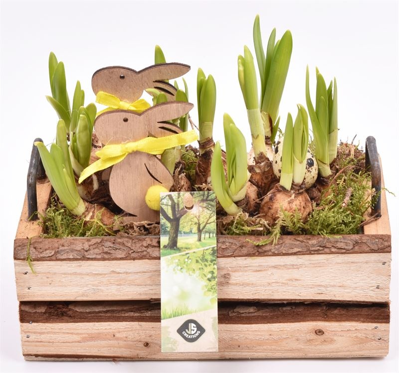 Hout rechth. met handvat 20x11cm, D 20