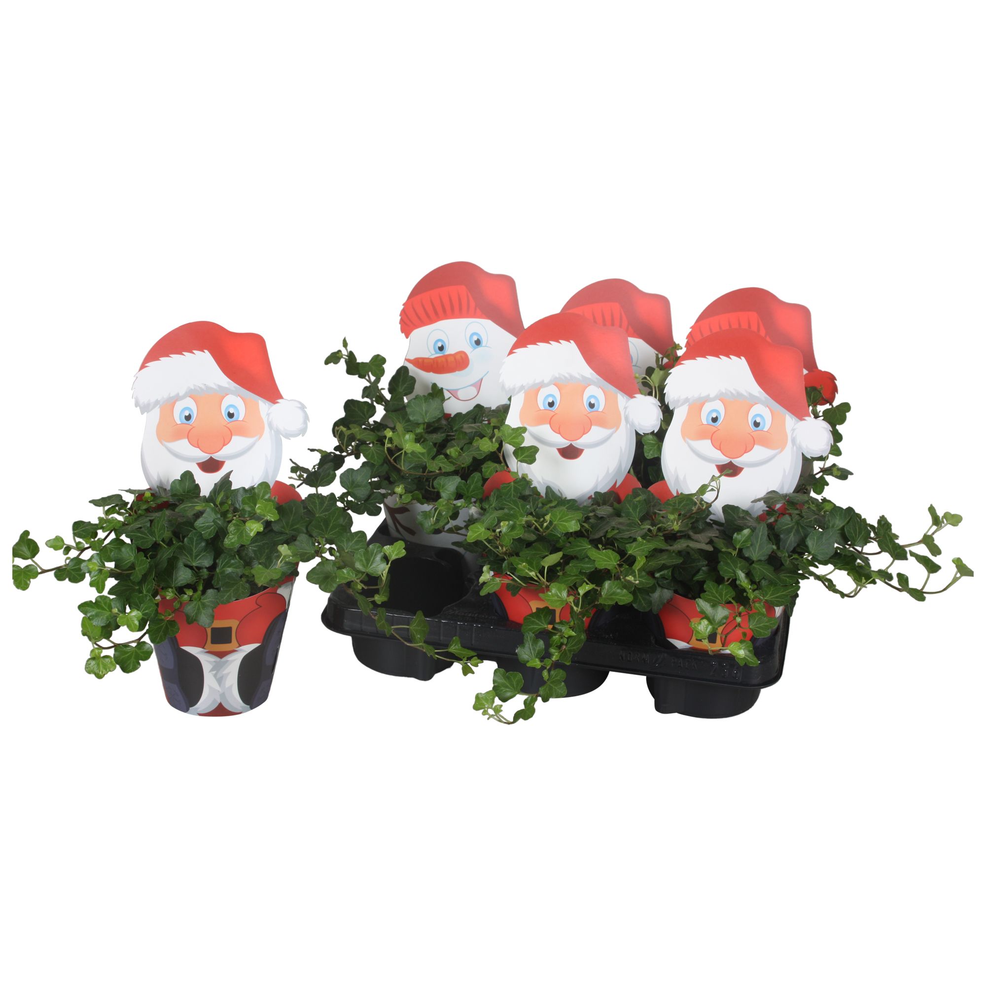 Potcover Kerstman en Sneeuwpop met Hedera, D 13