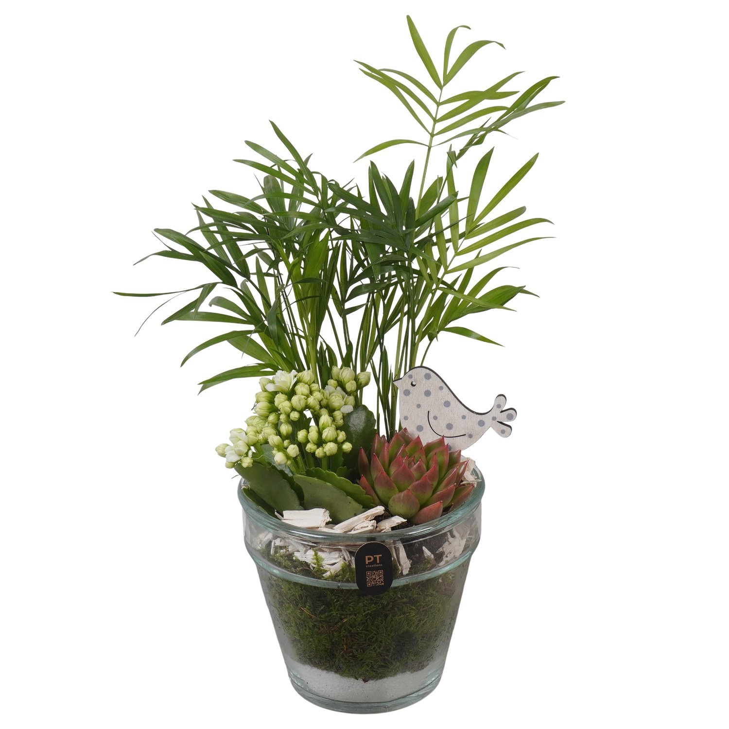 PTIG2682 Arrangement Indoor in glazen vaas, D 13