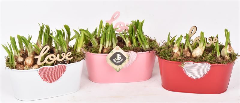 Zink met hart mix 19x10cm, D 19