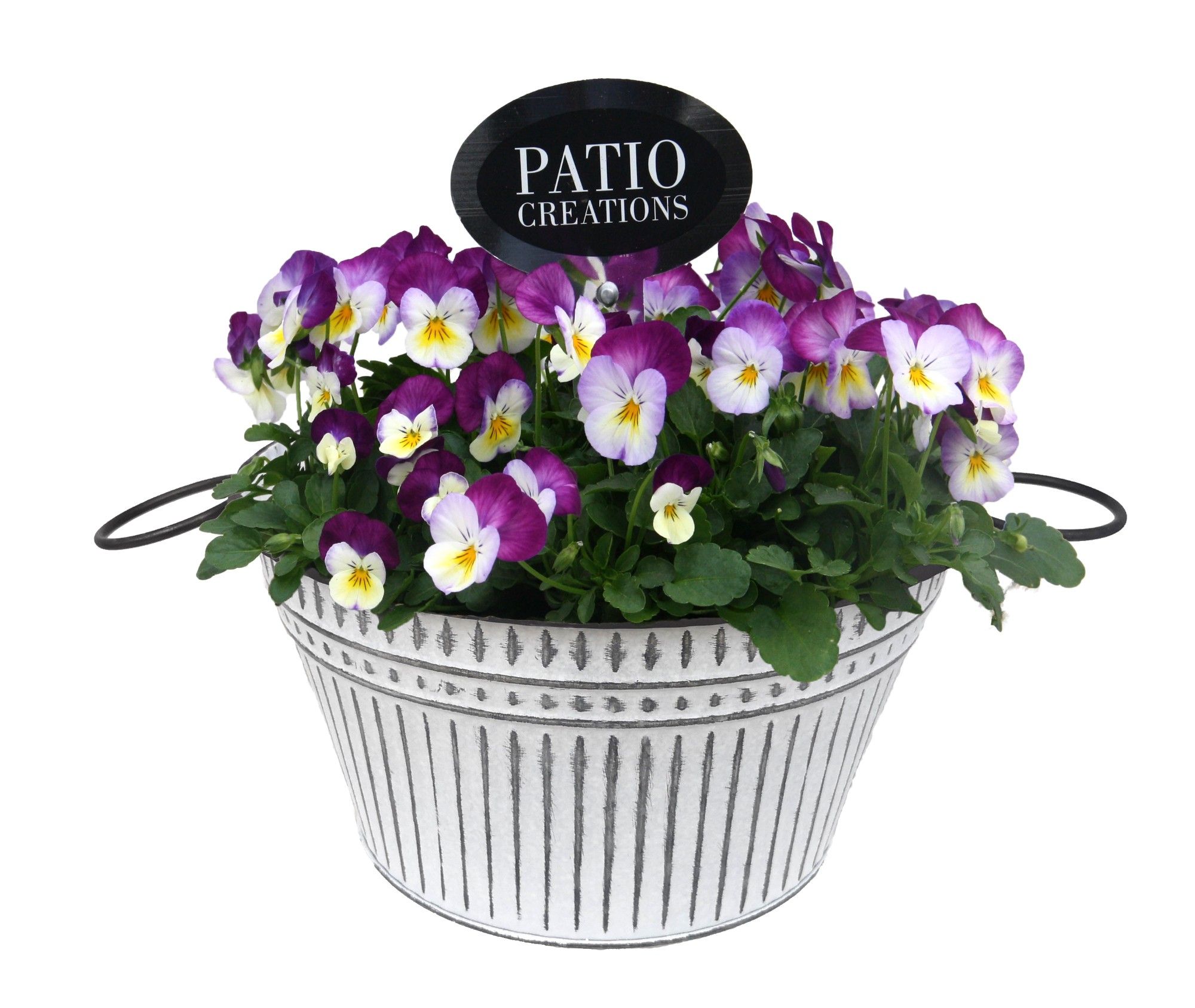 V732-9323 Viola metalen trendschaal L, D 24