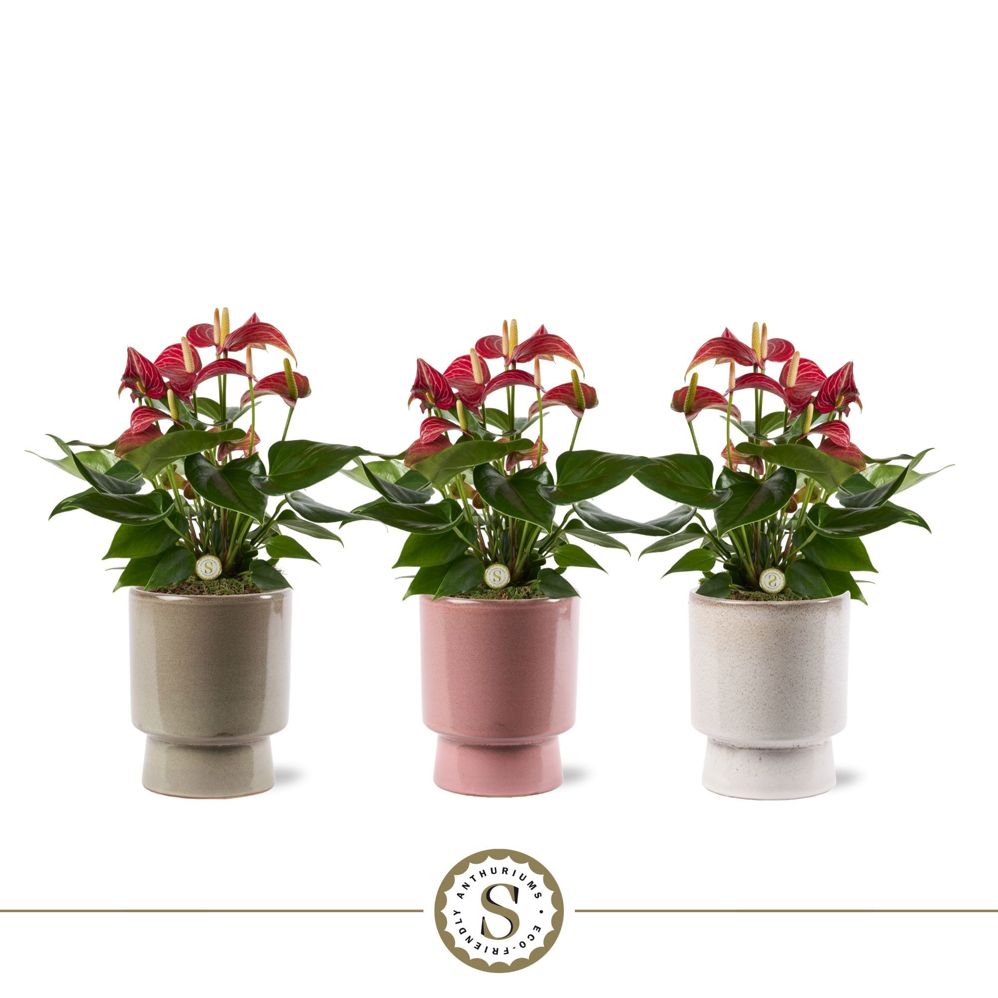 Toulouse Keramiek Livium Micra, D 12