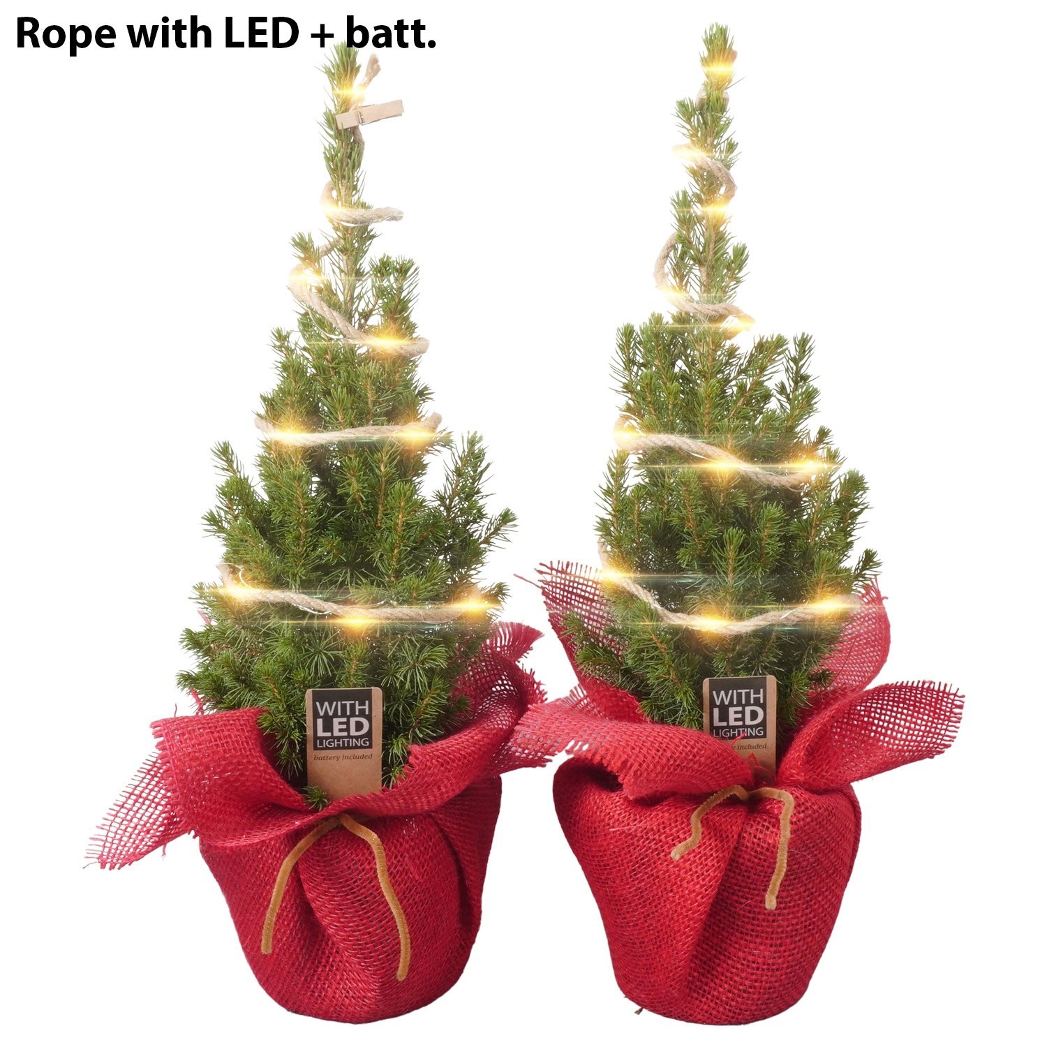 PTK26321 Conica Perfecta in jute met LED, D 13