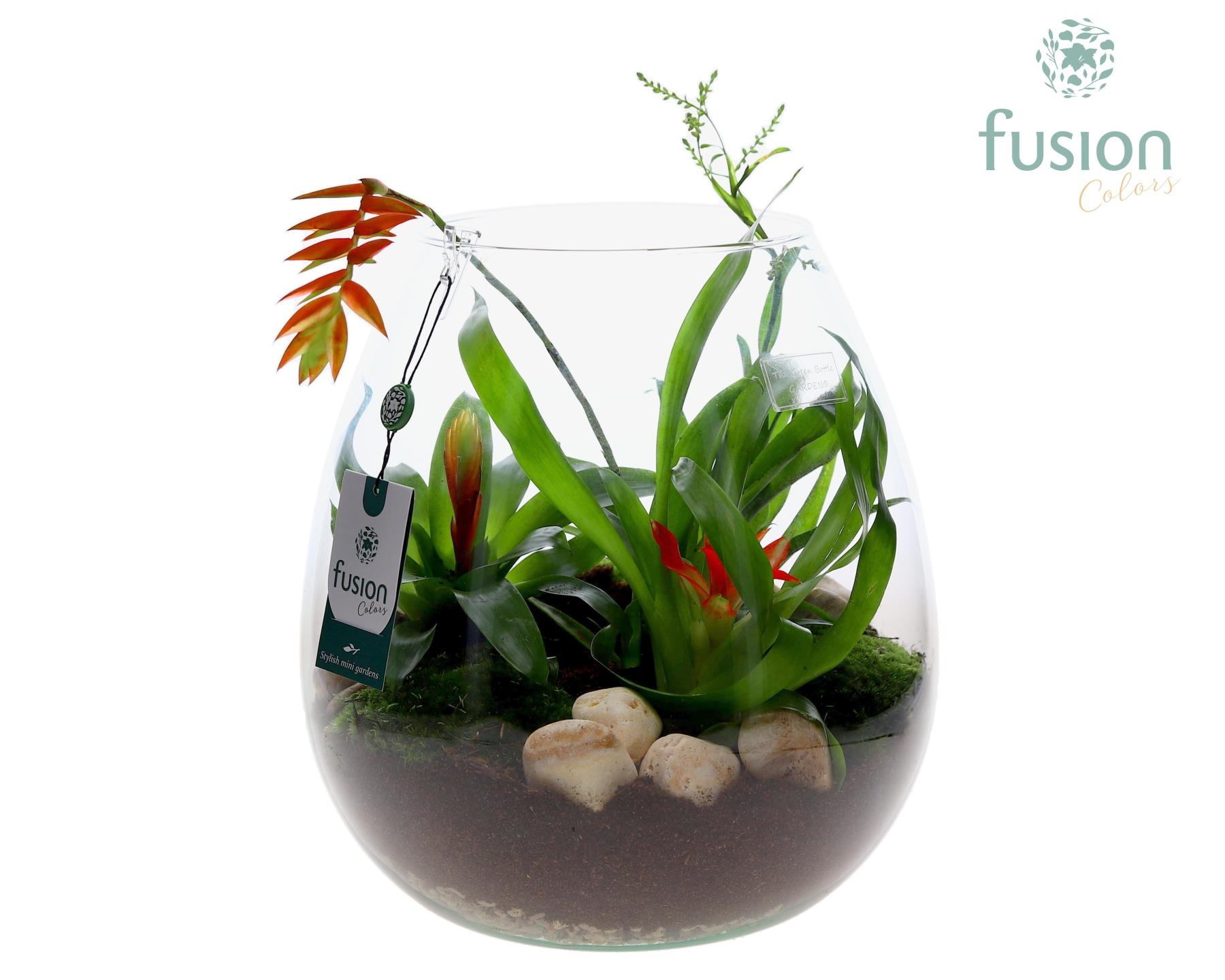 Green Bottle Abby XLarge met Bromelia, D 29