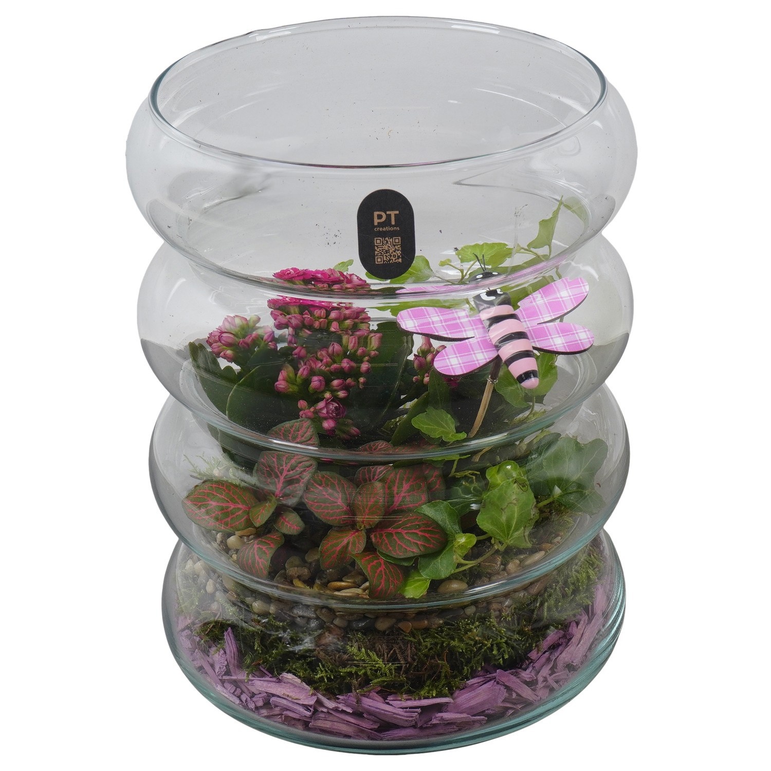 PTIG2673 Arrangement Indoor in glazen vaas, D 18