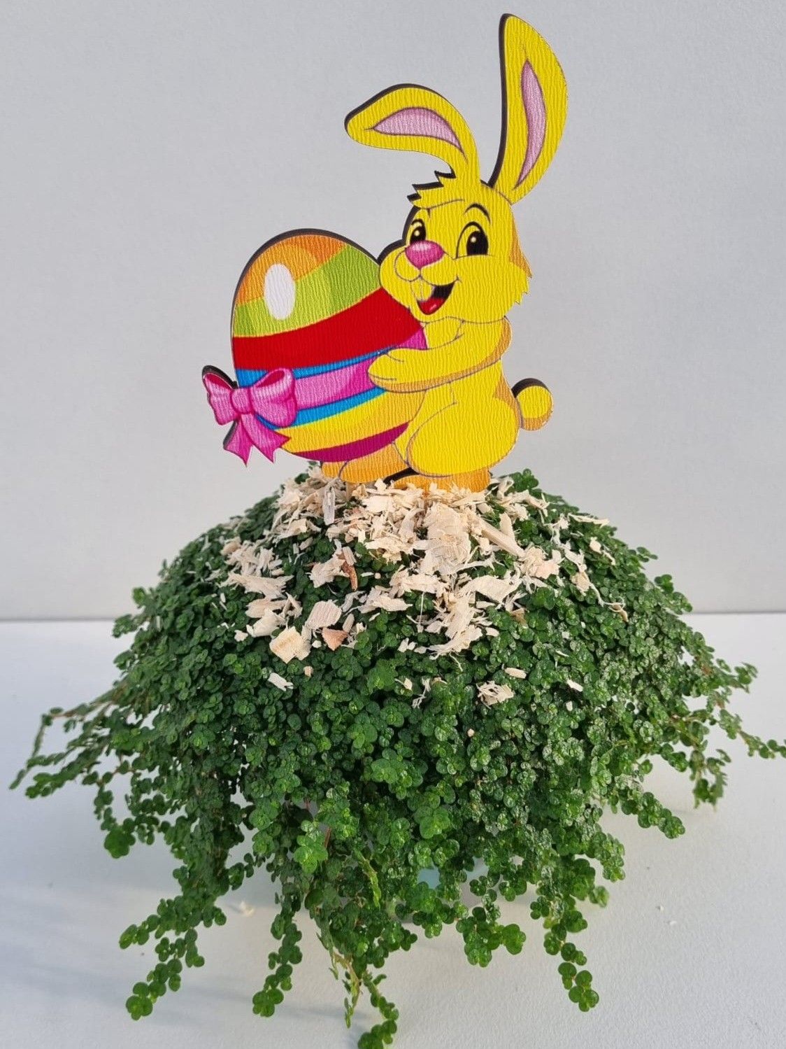 P42 Haas geel / grijs ei met snippers, D 11