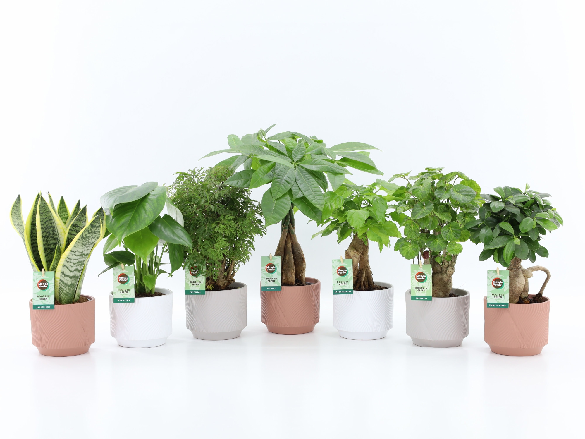 Exotic Green Mix in Rodena keramiek, D 13