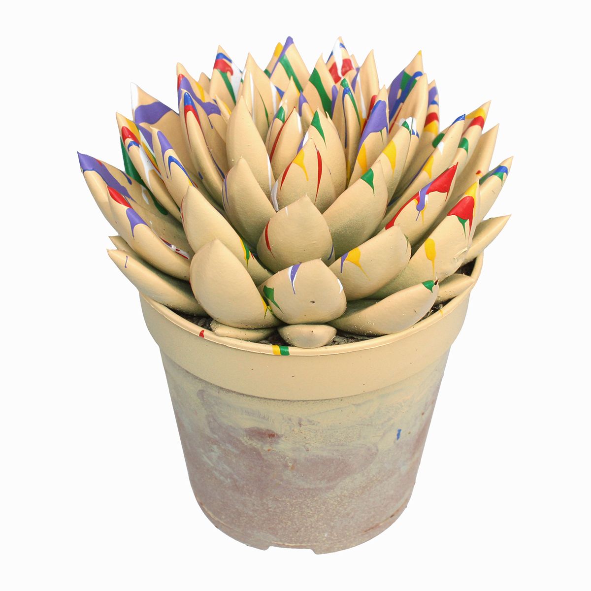 Miranda coloured Splash pastel orange, D 12